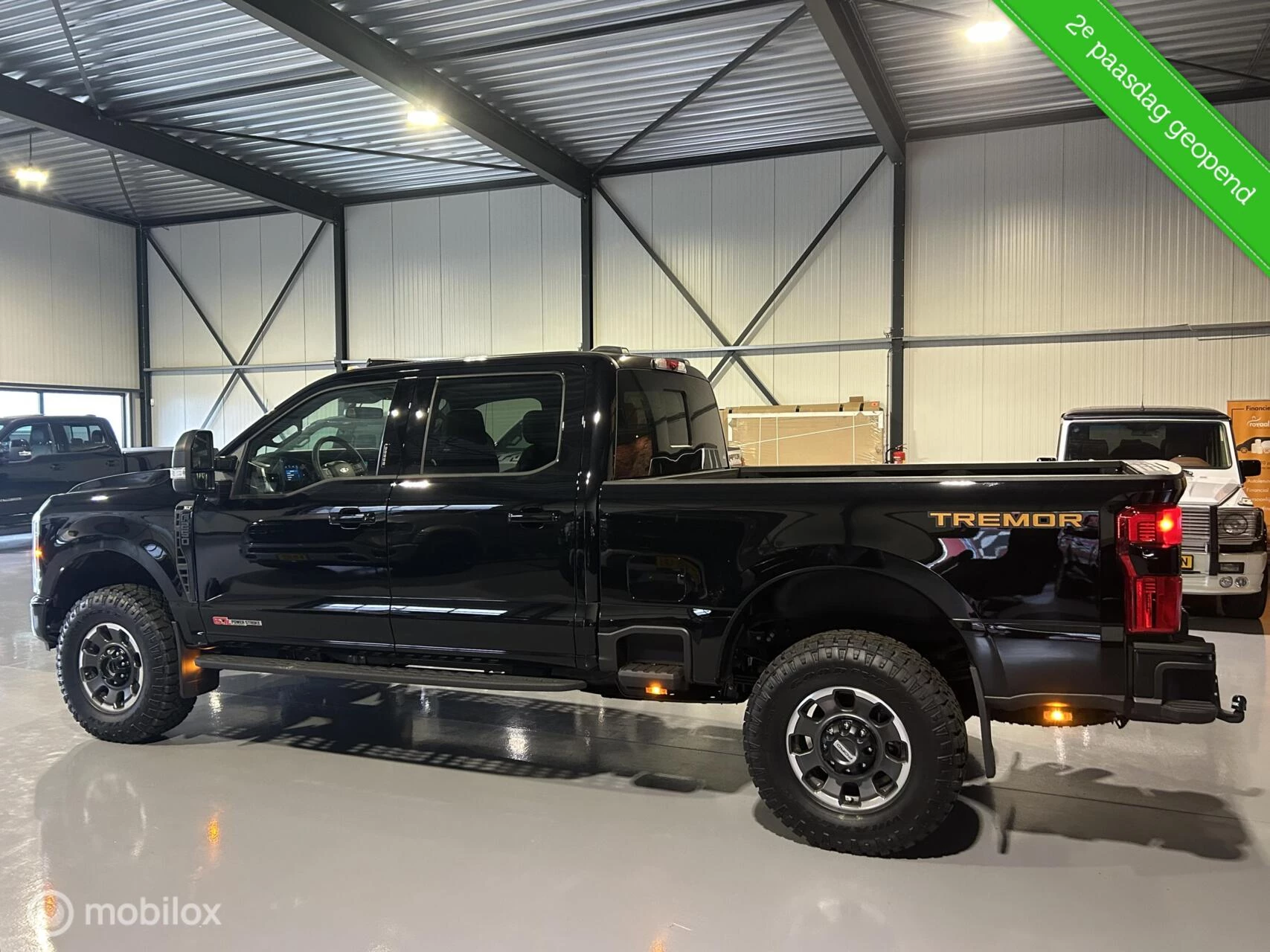 Hoofdafbeelding Ford F-250