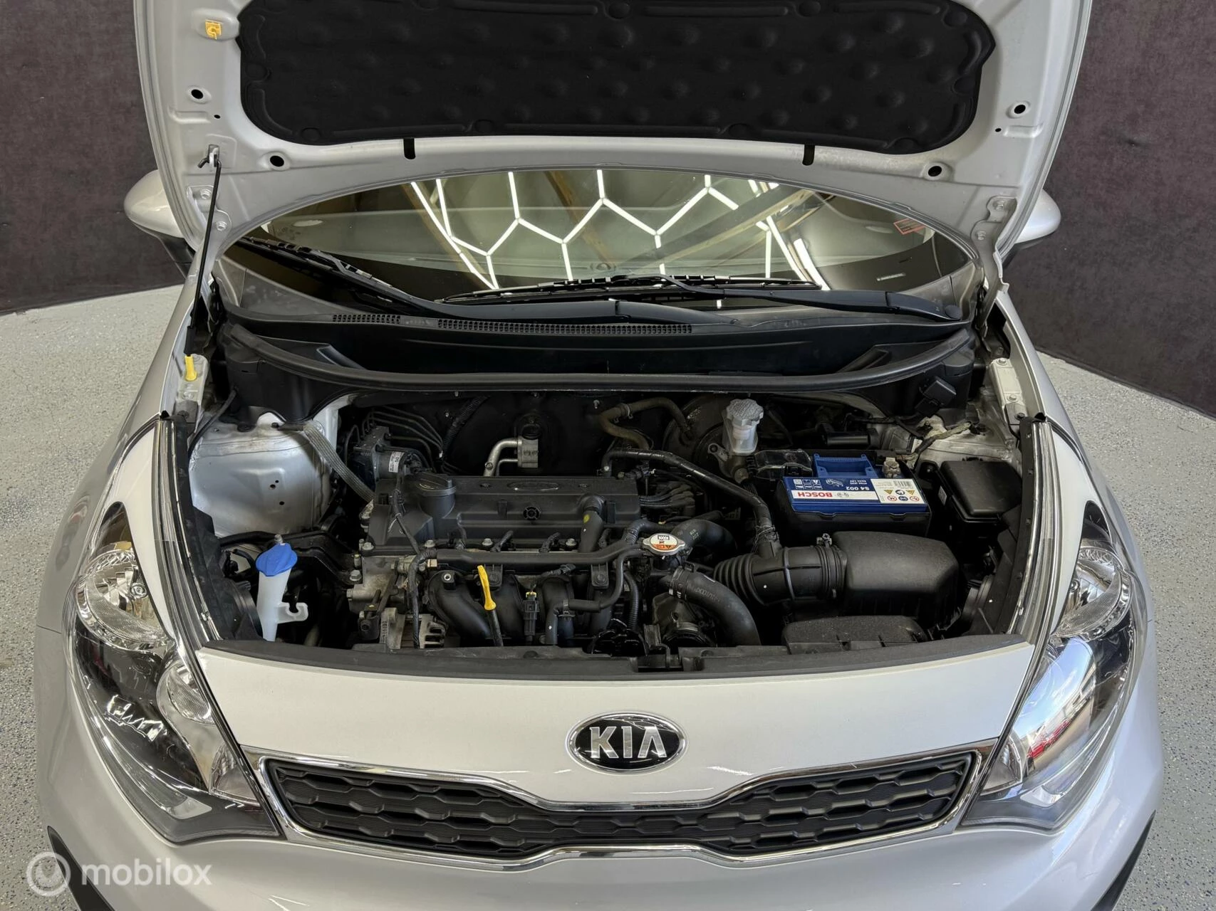 Hoofdafbeelding Kia Rio