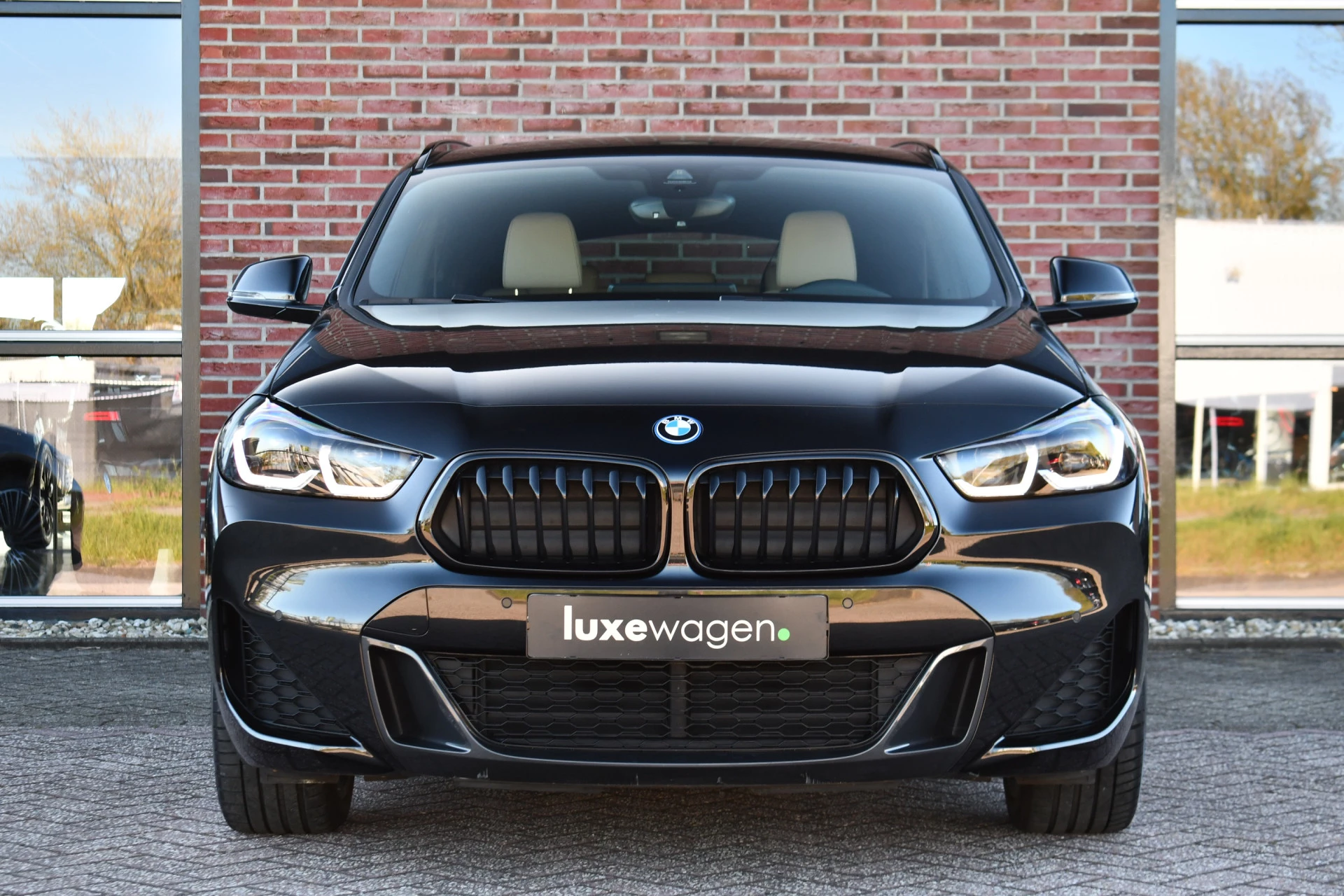 Hoofdafbeelding BMW X2