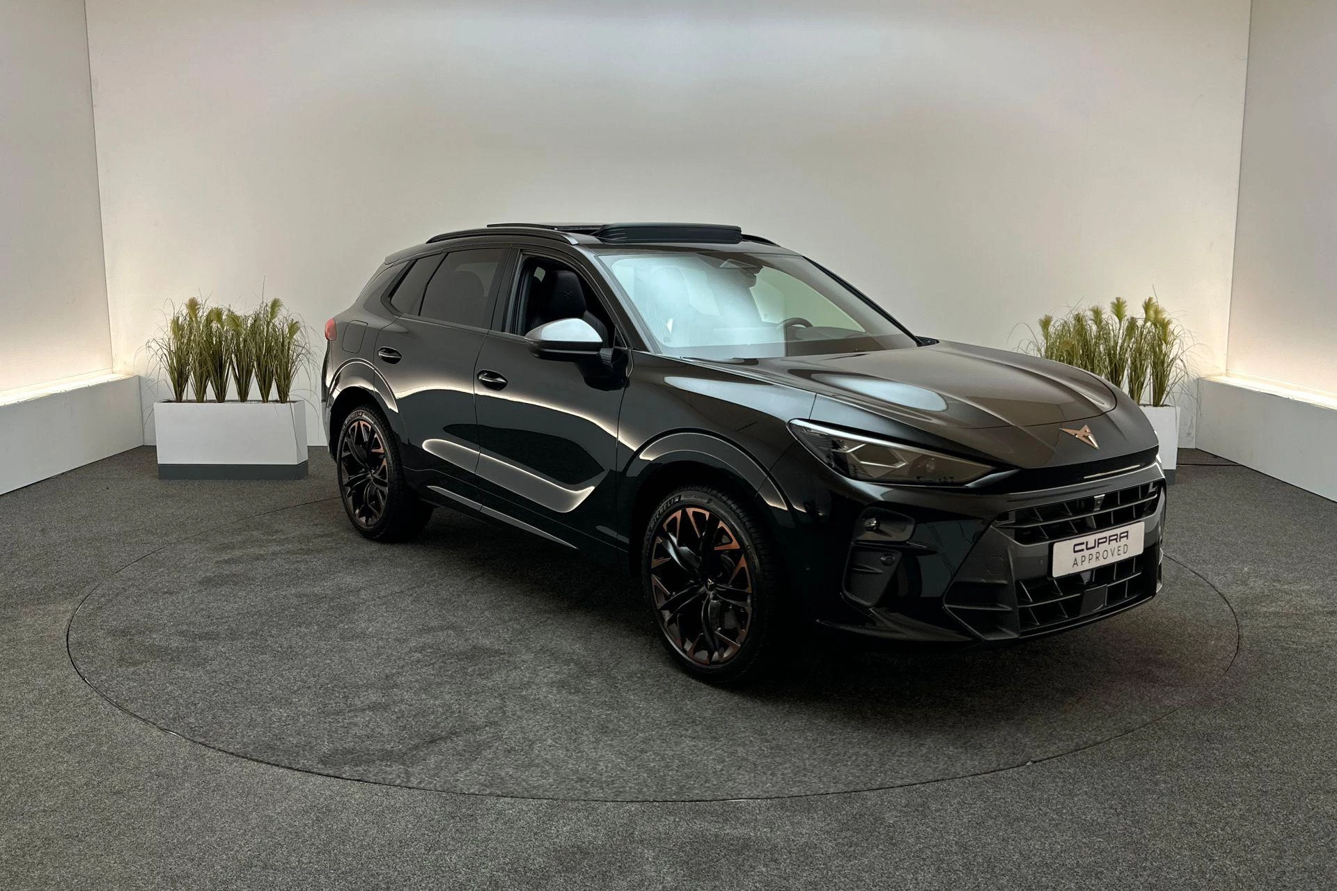 Hoofdafbeelding CUPRA Terramar