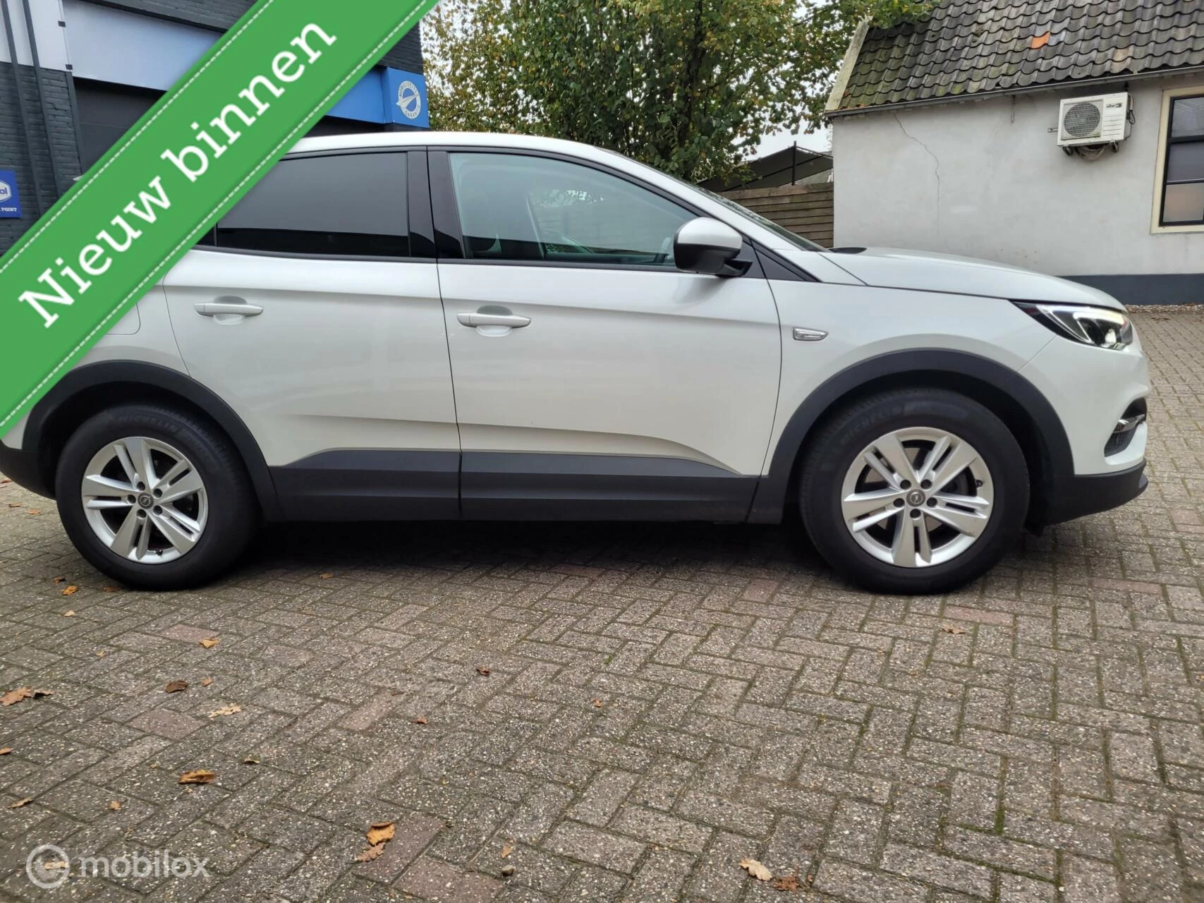 Hoofdafbeelding Opel Grandland X