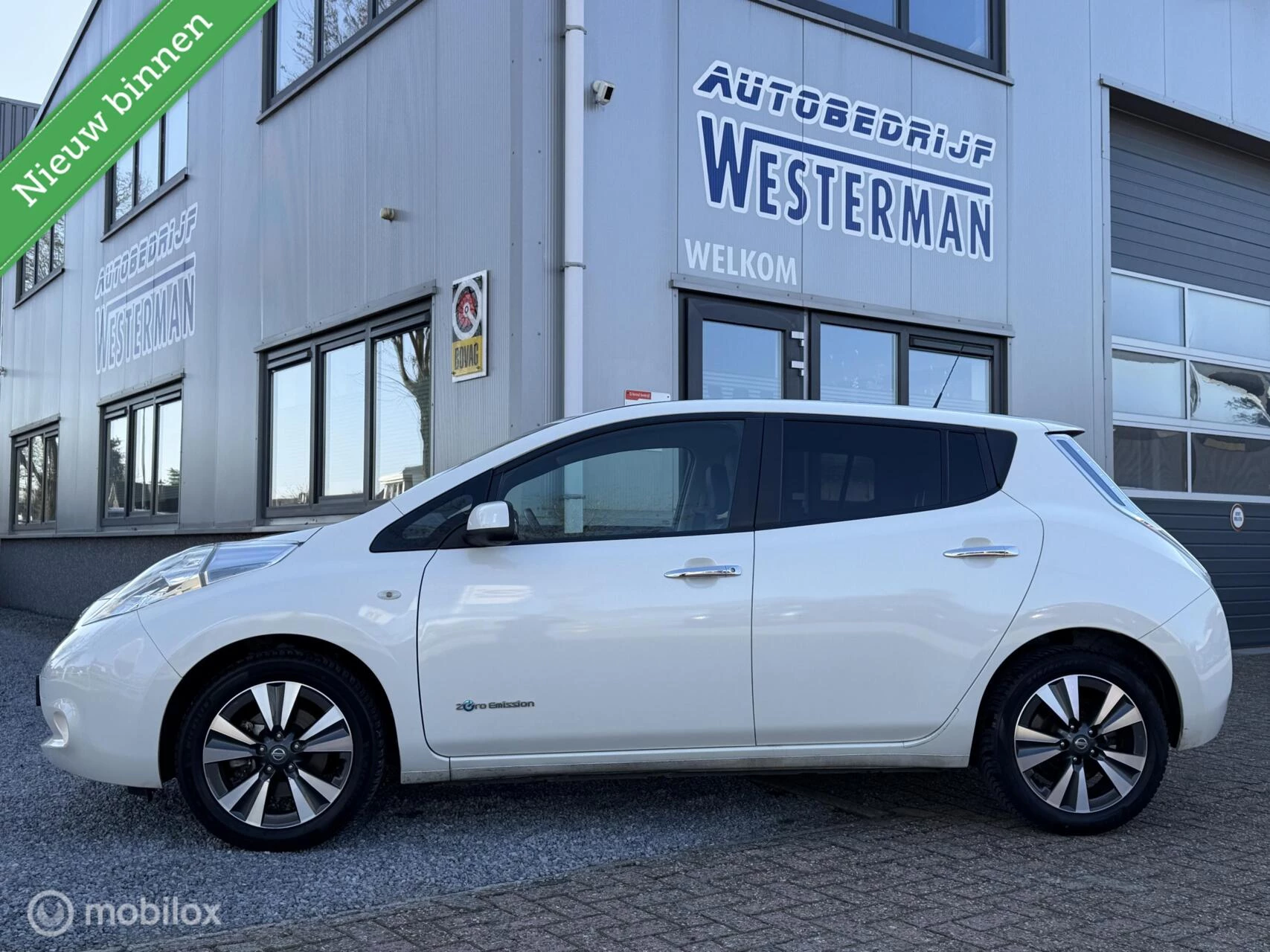 Hoofdafbeelding Nissan Leaf