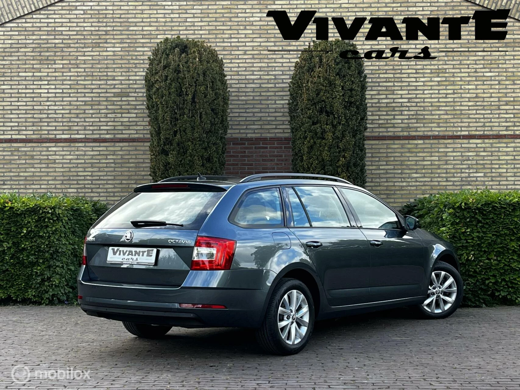 Hoofdafbeelding Škoda Octavia