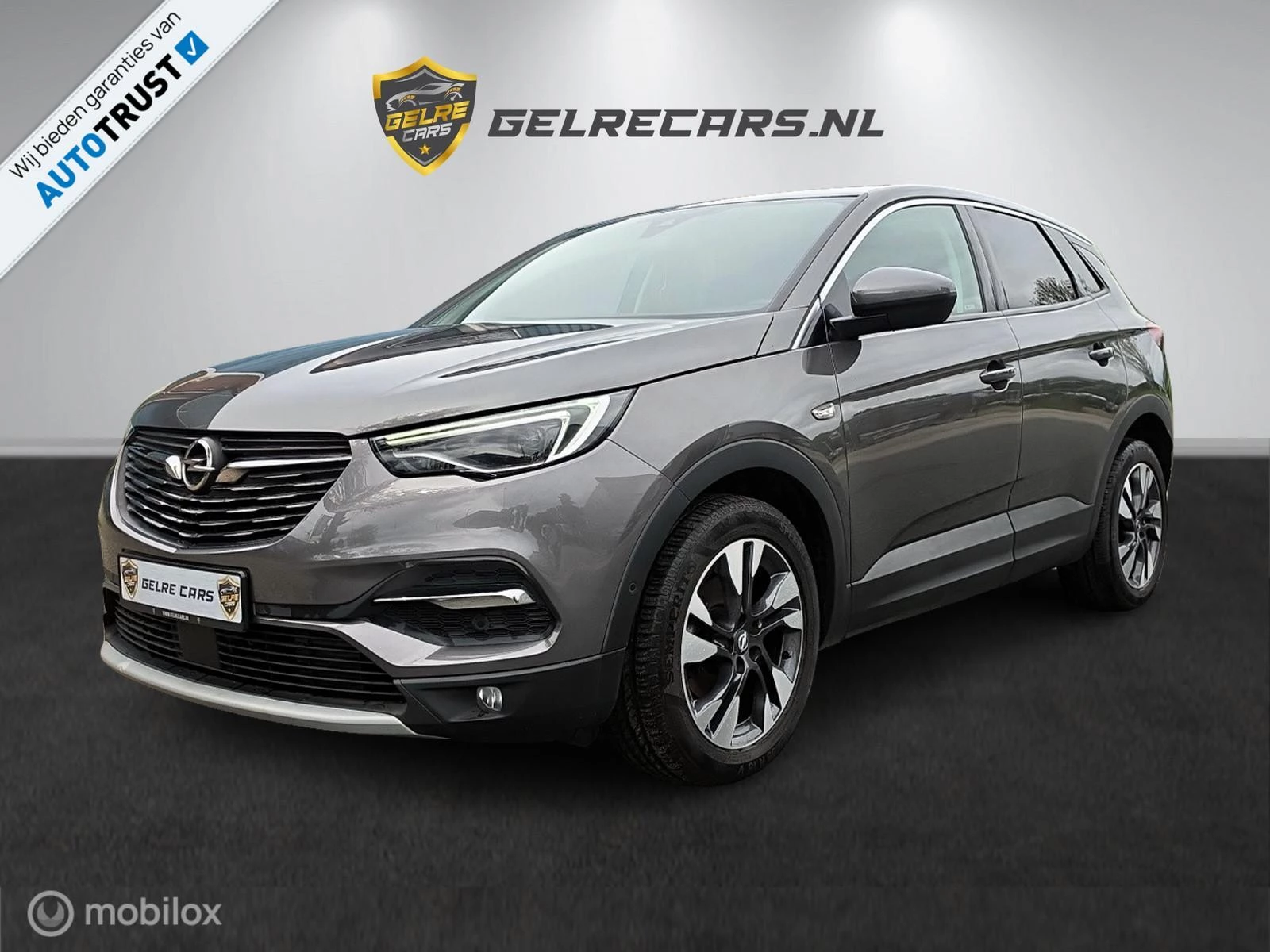 Hoofdafbeelding Opel Grandland X