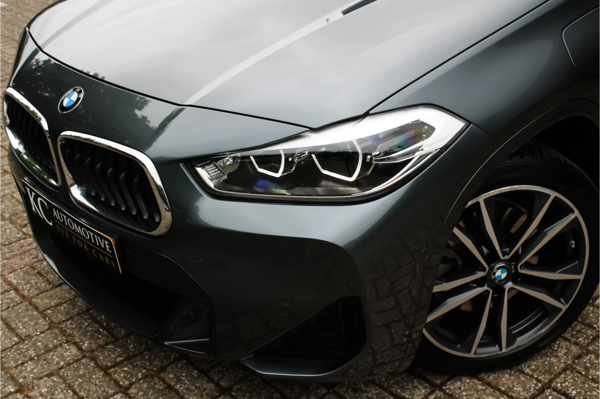 Hoofdafbeelding BMW X2