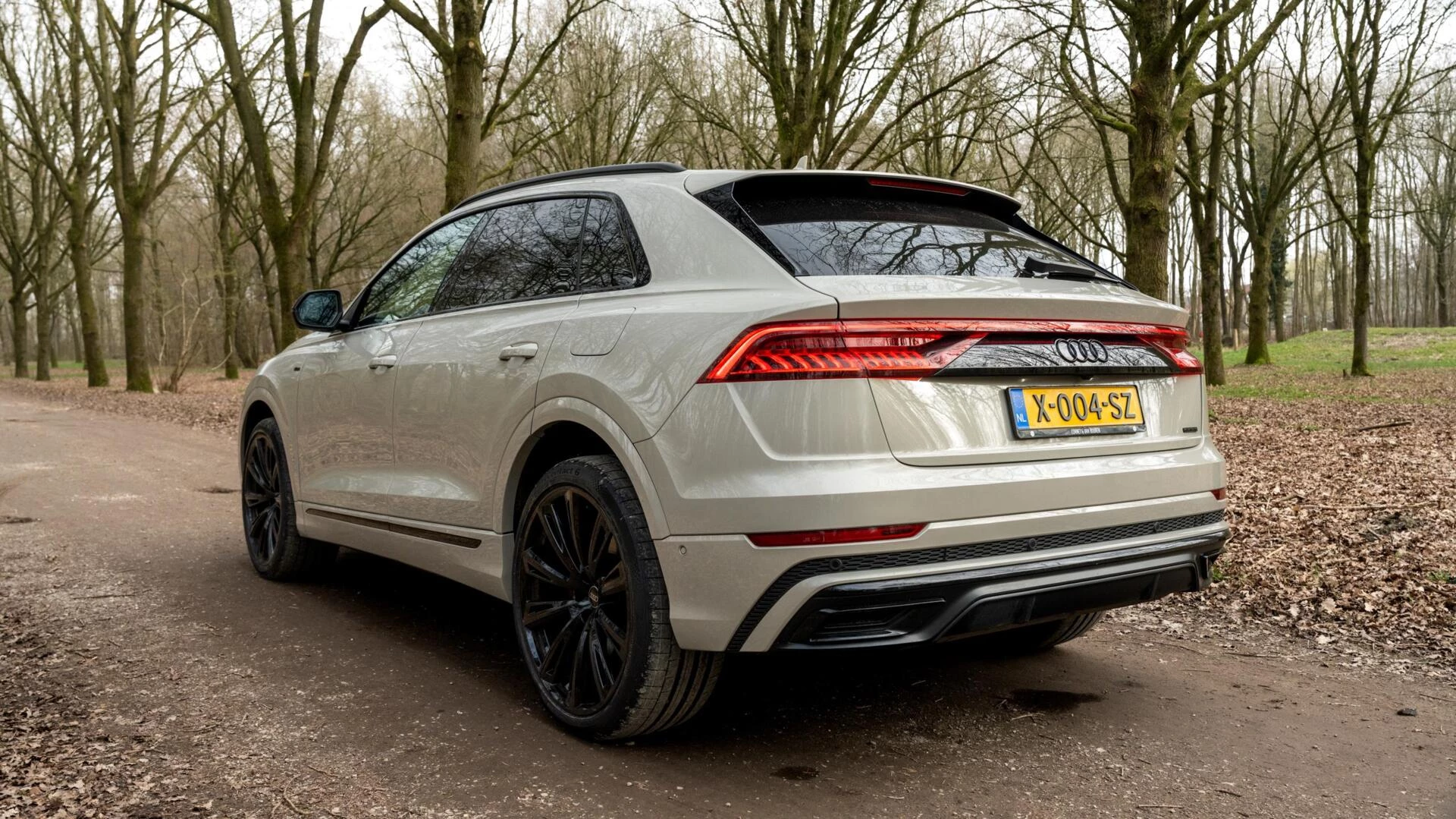 Hoofdafbeelding Audi Q8