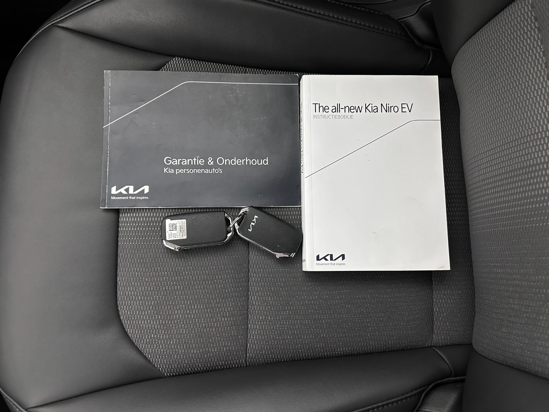 Hoofdafbeelding Kia Niro EV