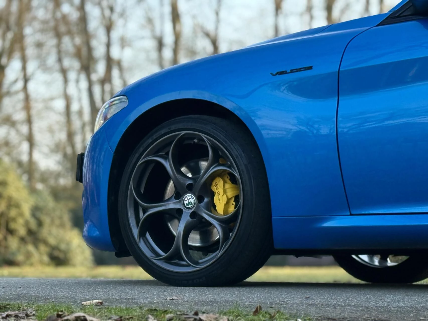 Hoofdafbeelding Alfa Romeo Giulia