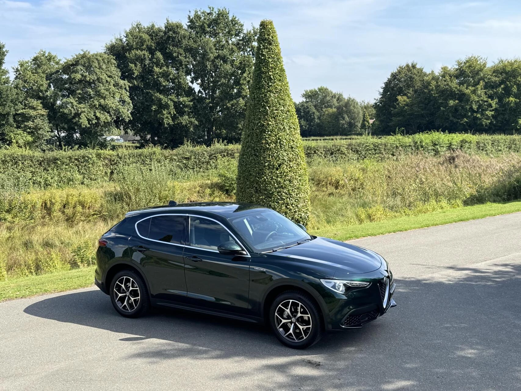 Hoofdafbeelding Alfa Romeo Stelvio