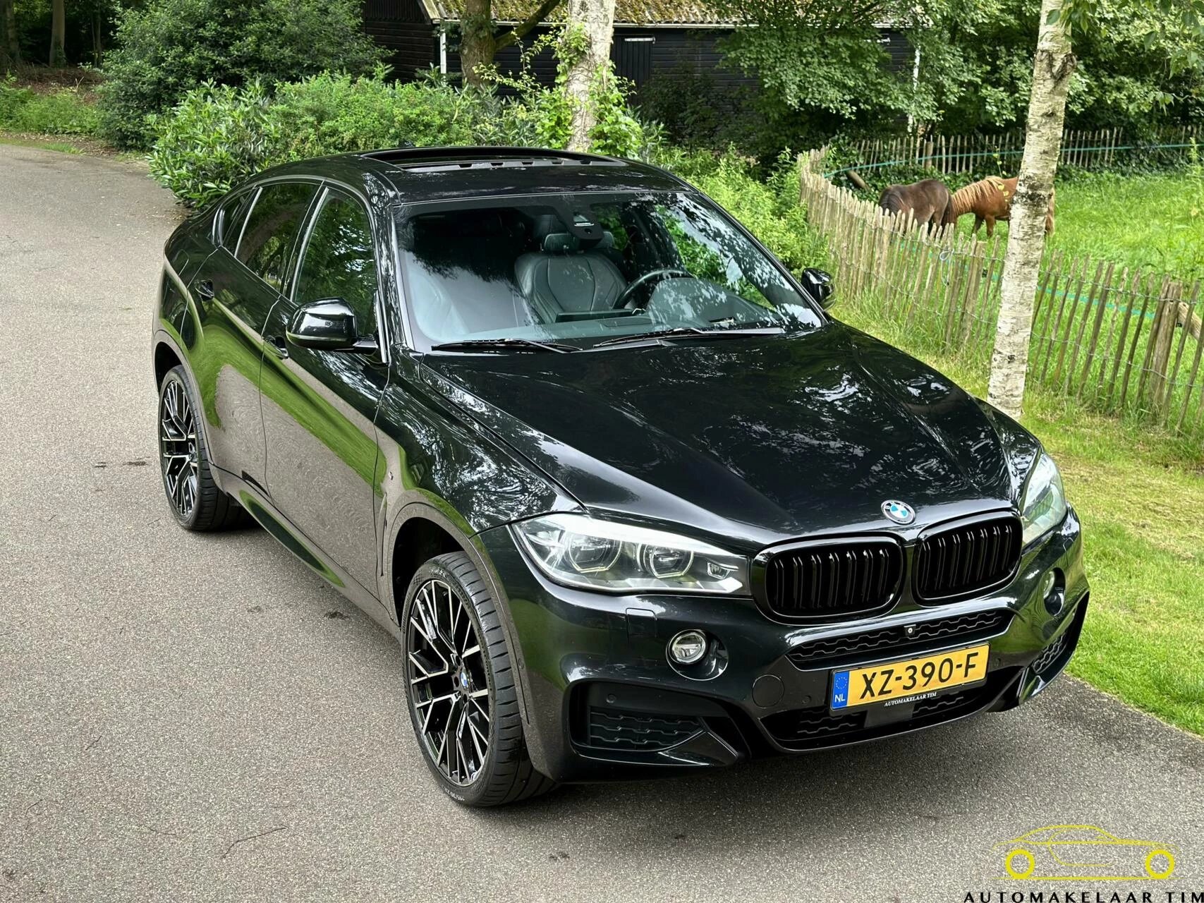 Hoofdafbeelding BMW X6