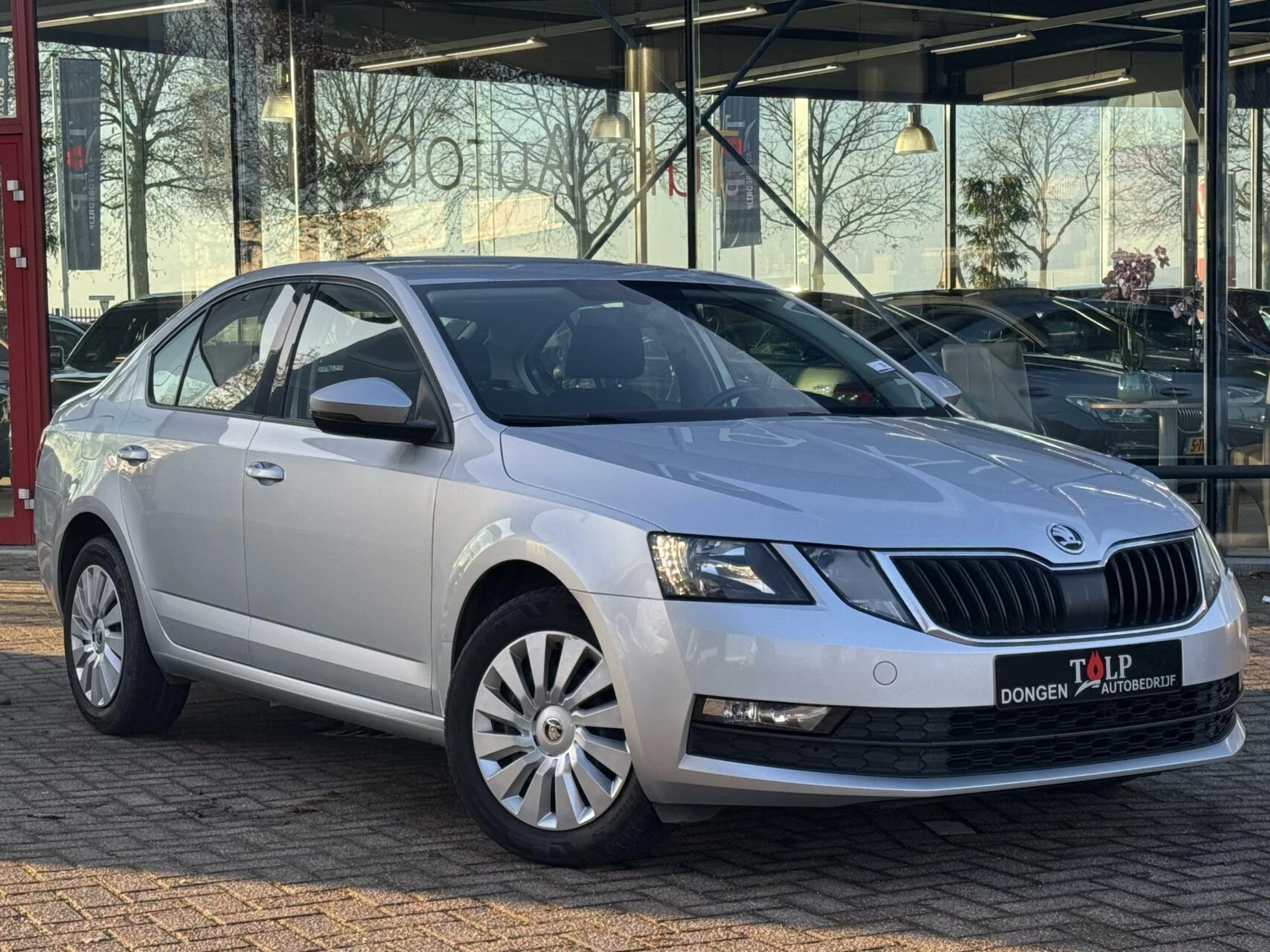 Hoofdafbeelding Škoda Octavia