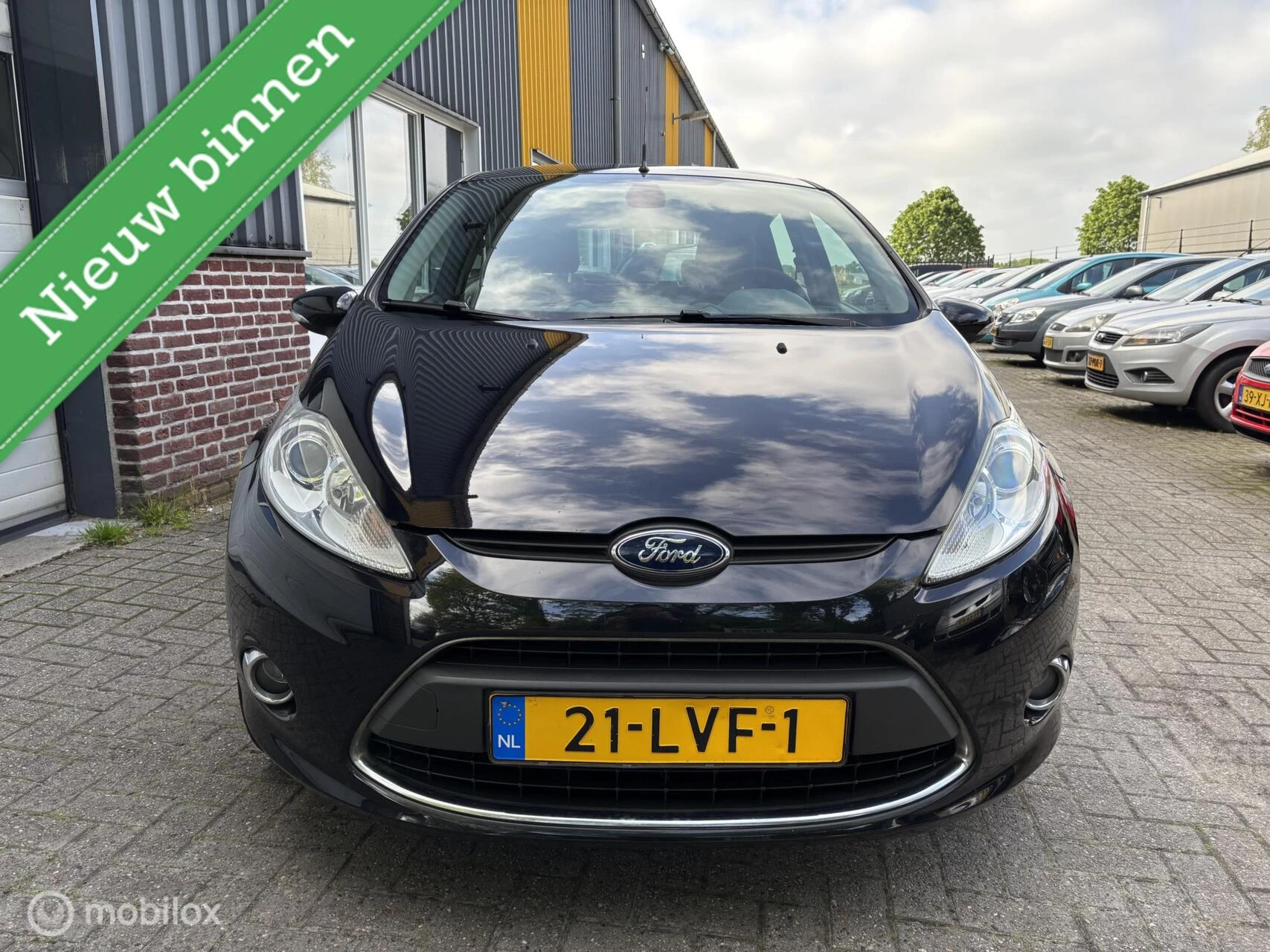 Hoofdafbeelding Ford Fiesta