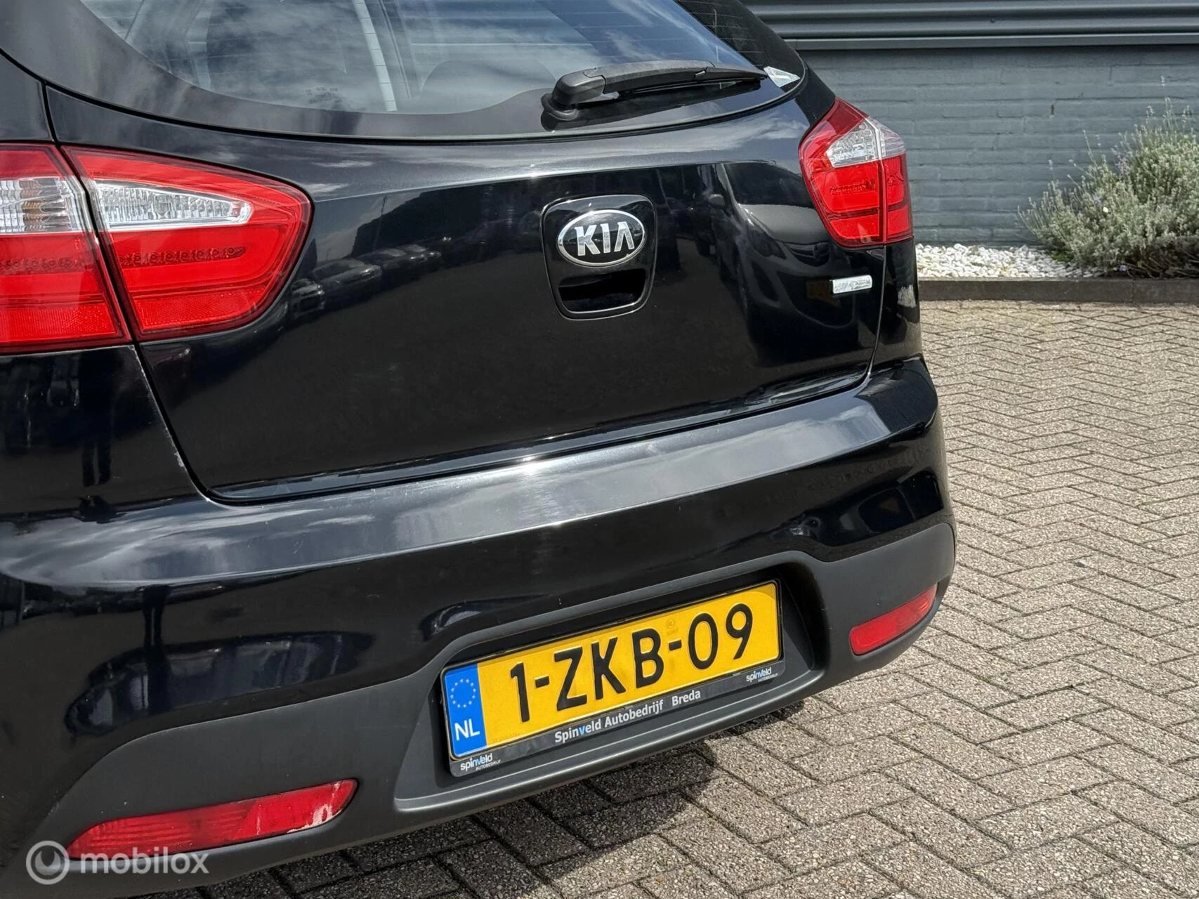 Hoofdafbeelding Kia Rio