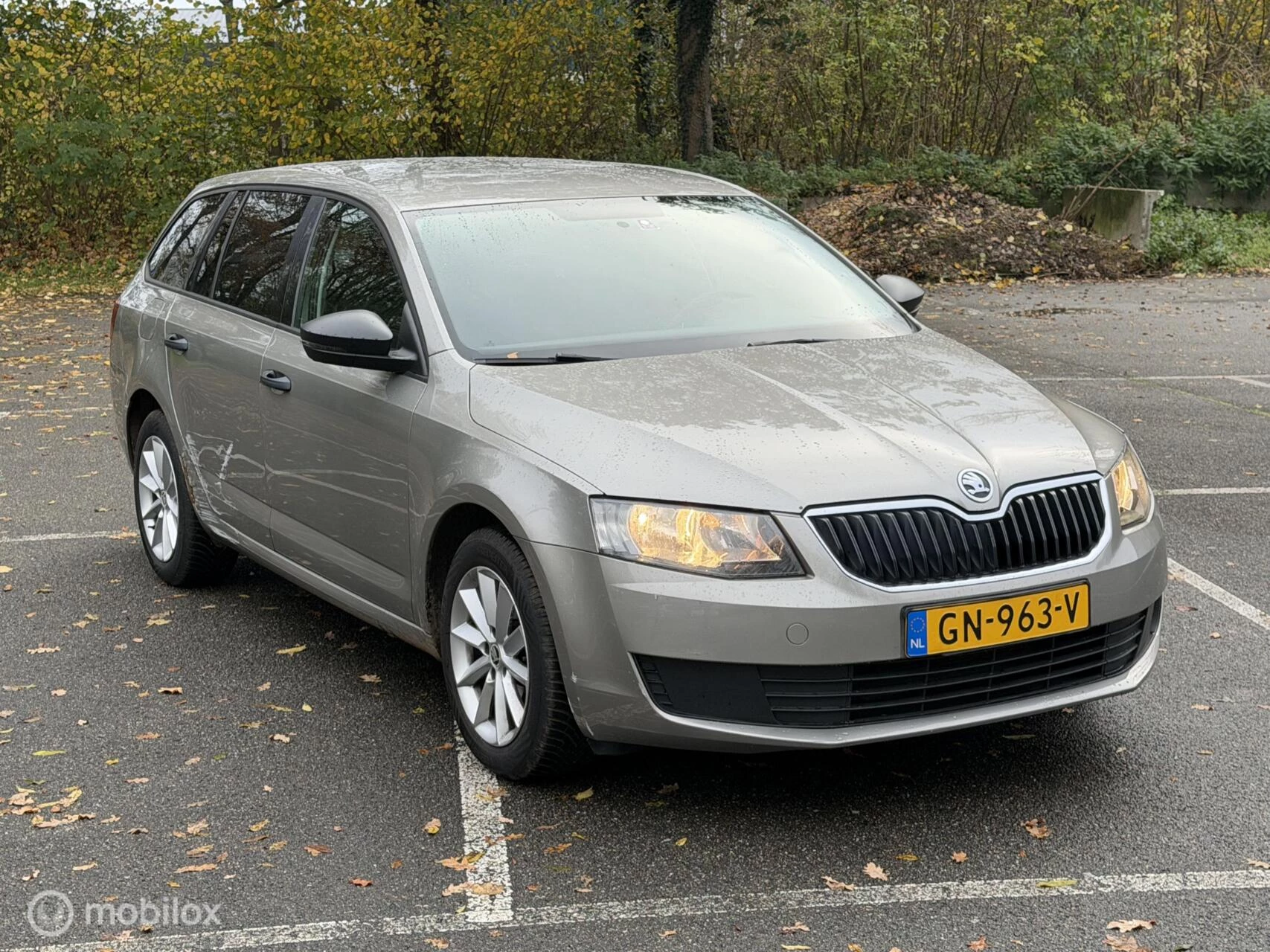 Hoofdafbeelding Škoda Octavia
