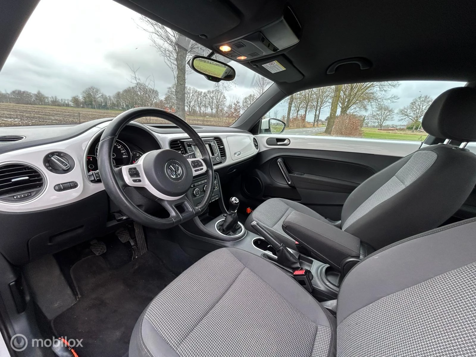 Hoofdafbeelding Volkswagen Beetle