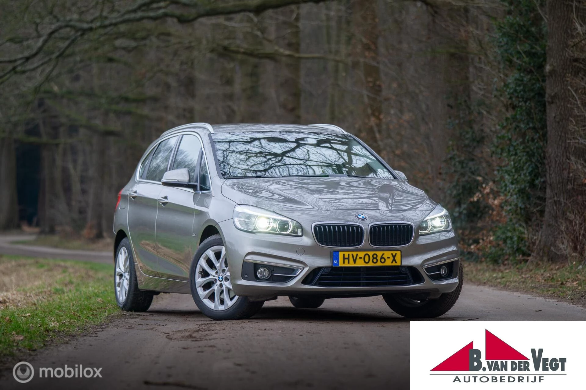 Hoofdafbeelding BMW 2 Serie