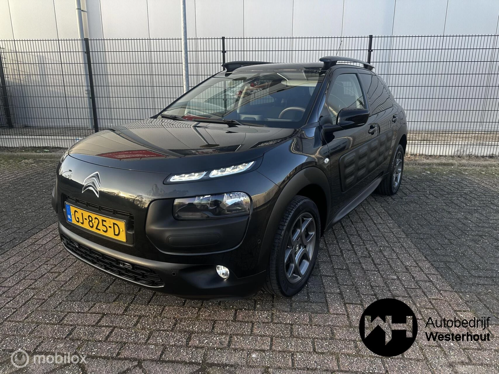 Hoofdafbeelding Citroën C4 Cactus
