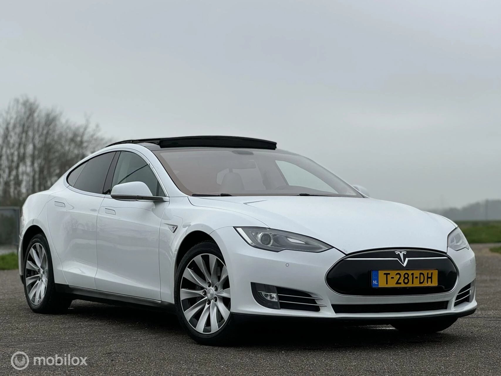 Hoofdafbeelding Tesla Model S