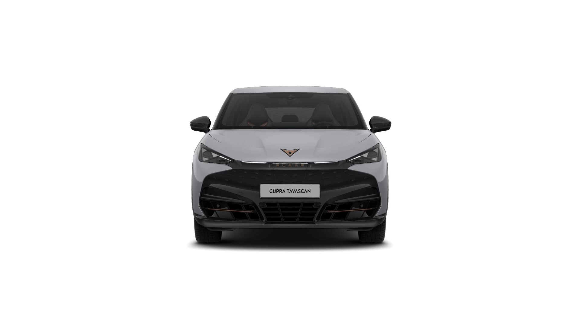 Hoofdafbeelding CUPRA Tavascan
