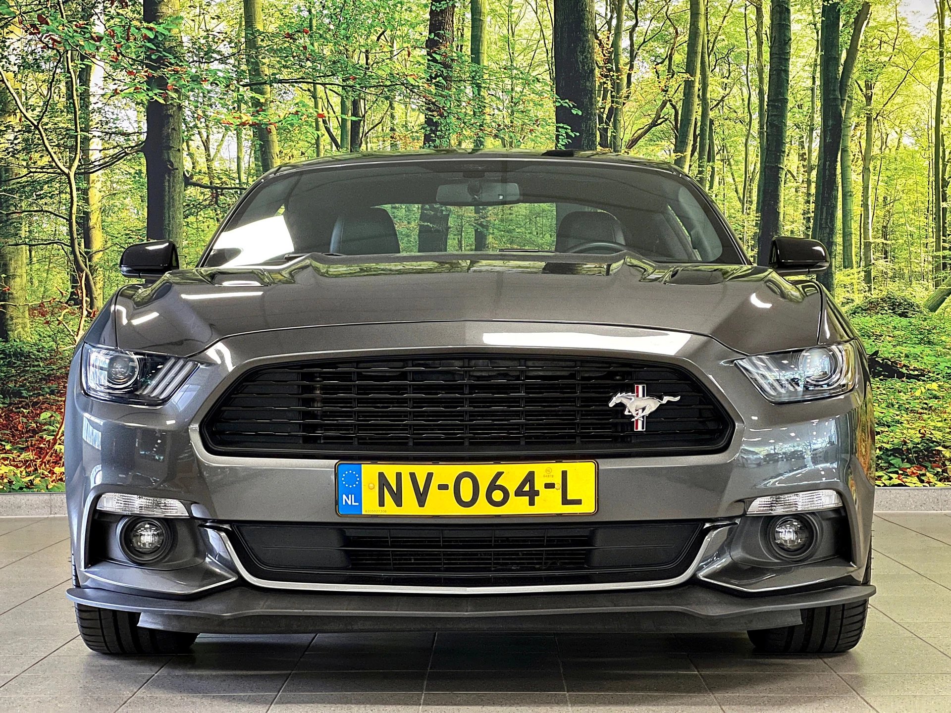 Hoofdafbeelding Ford Mustang