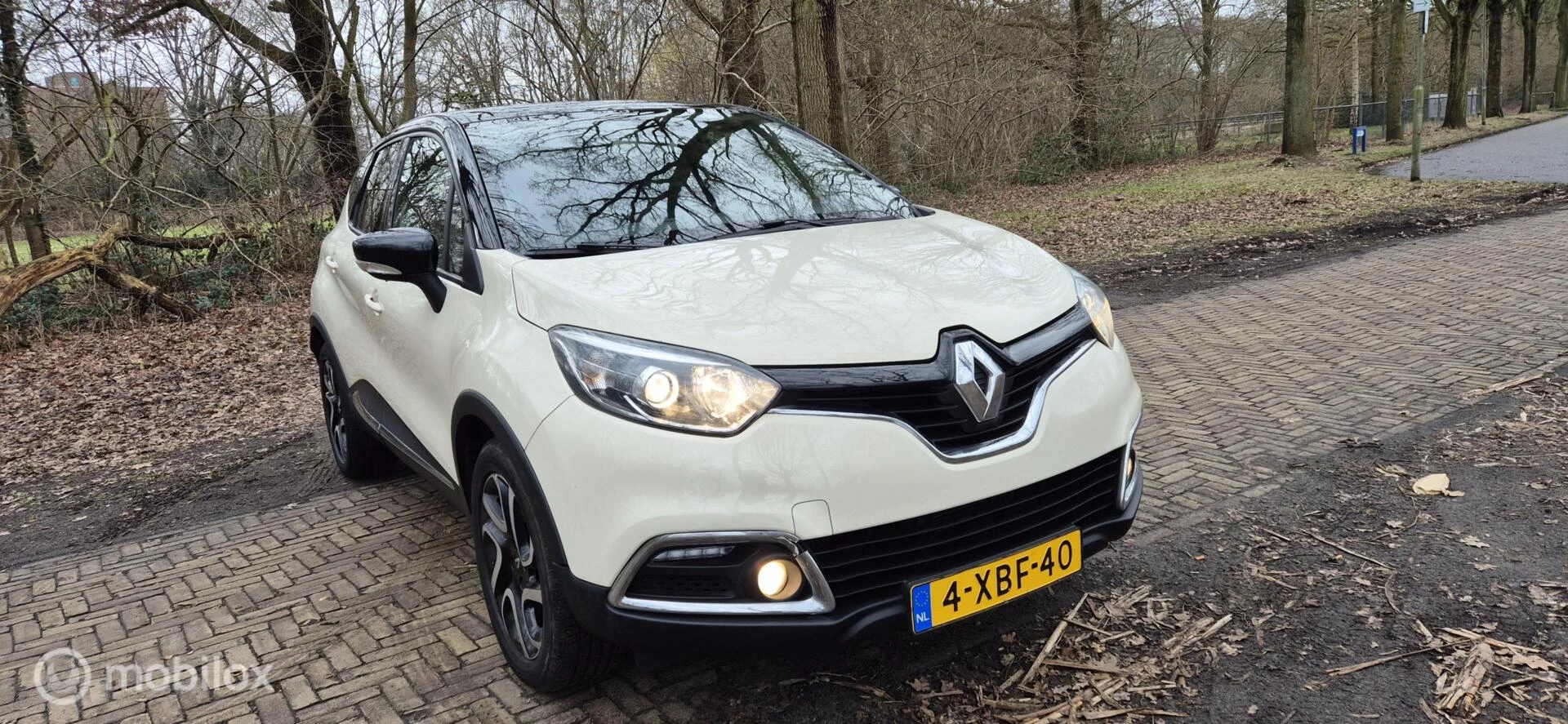 Hoofdafbeelding Renault Captur