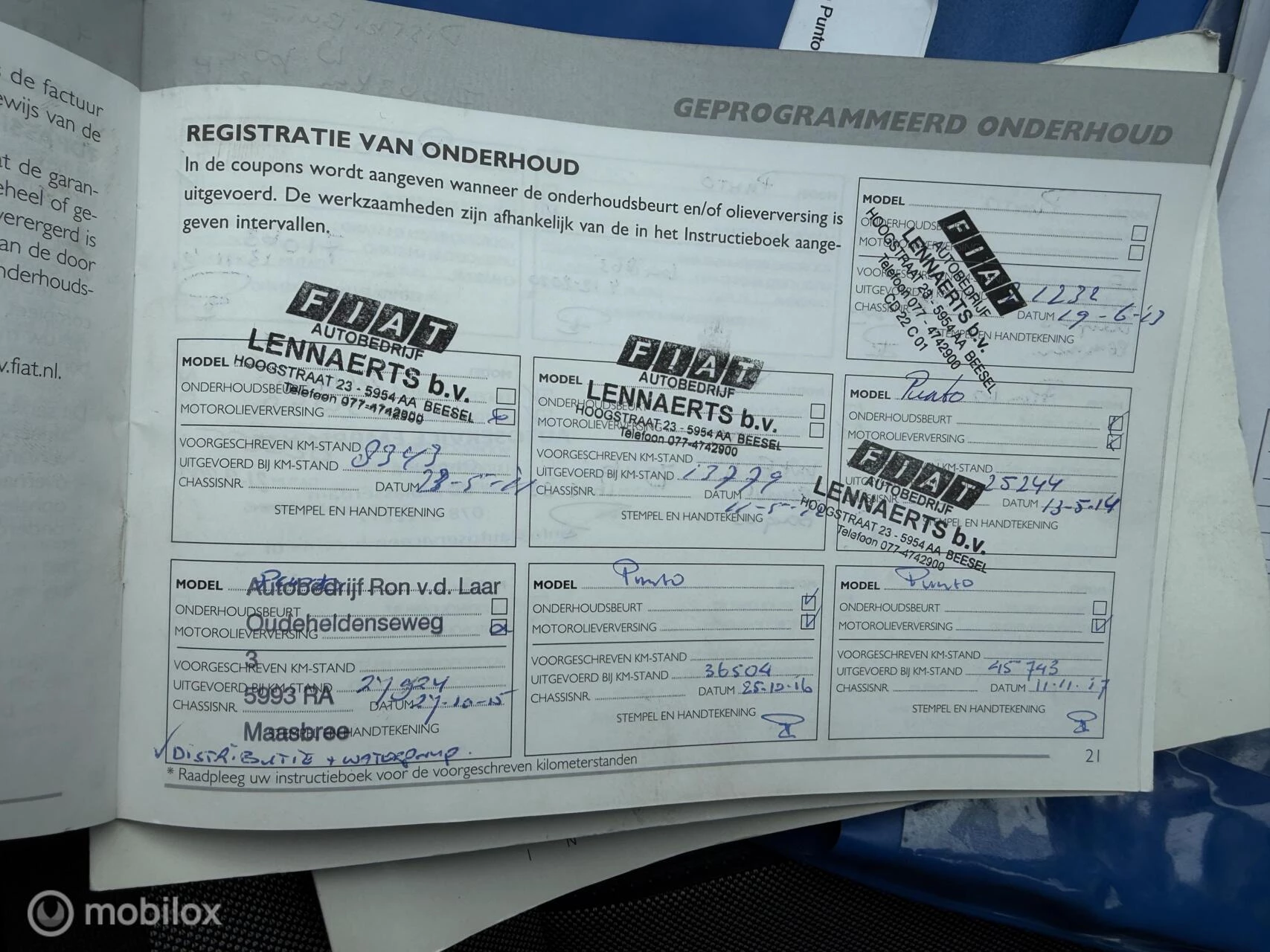 Hoofdafbeelding Fiat Punto