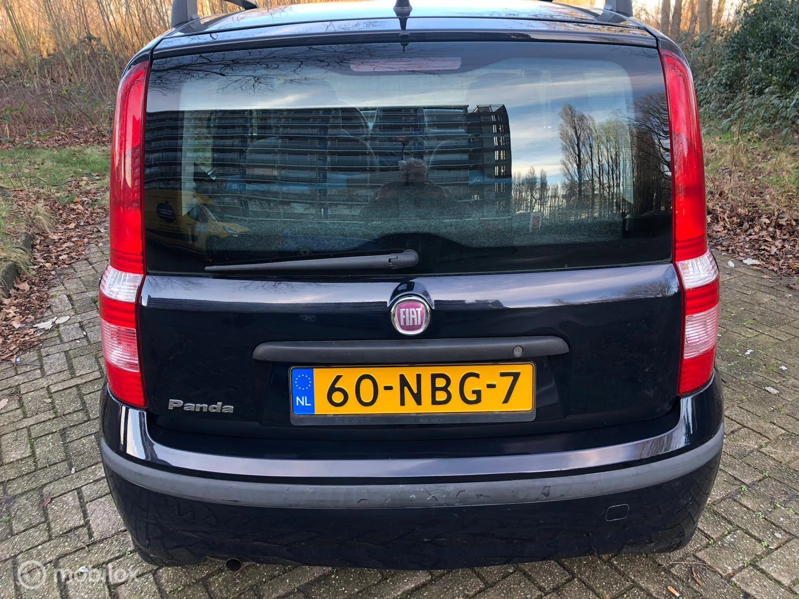 Hoofdafbeelding Fiat Panda