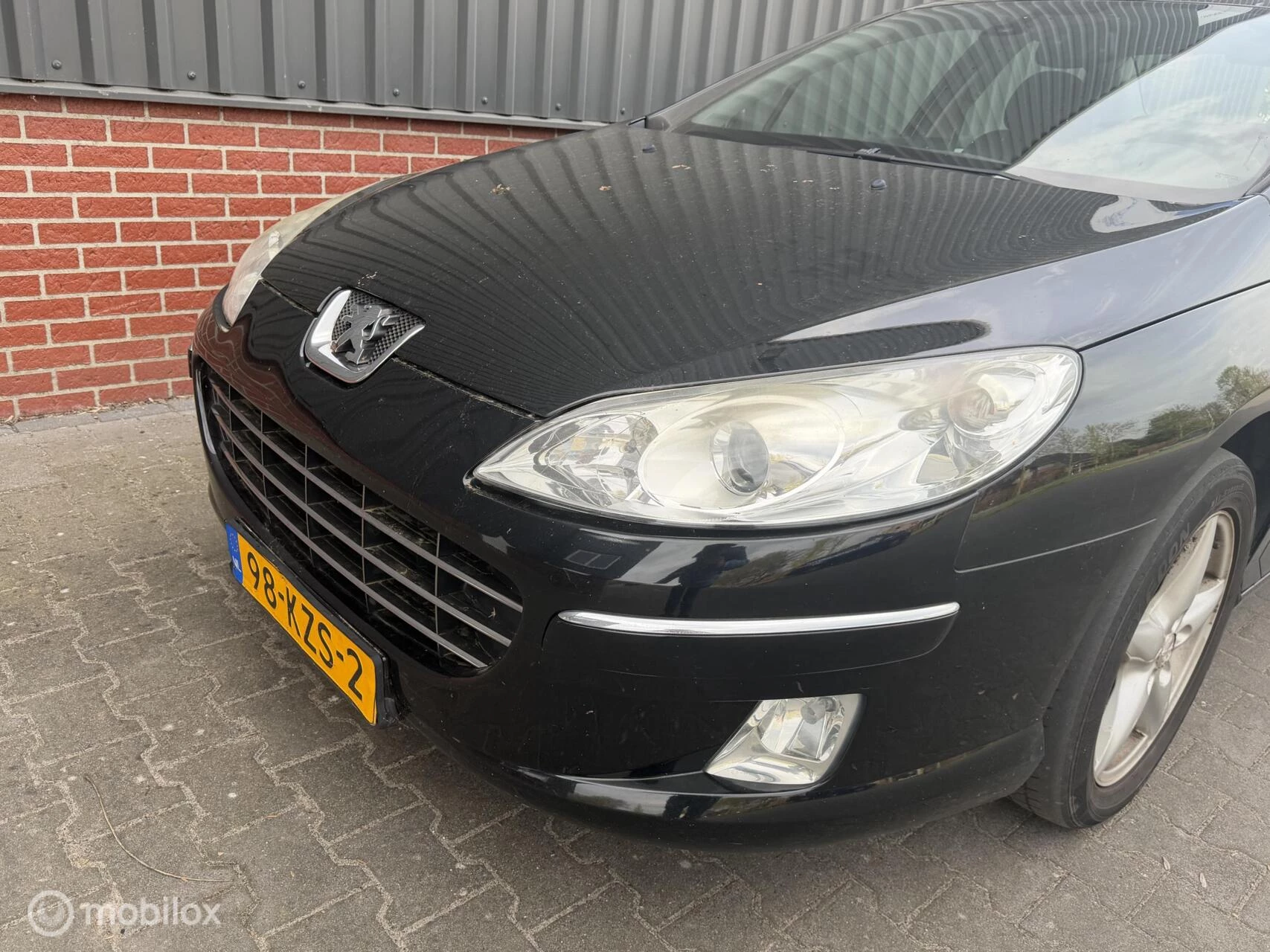 Hoofdafbeelding Peugeot 407