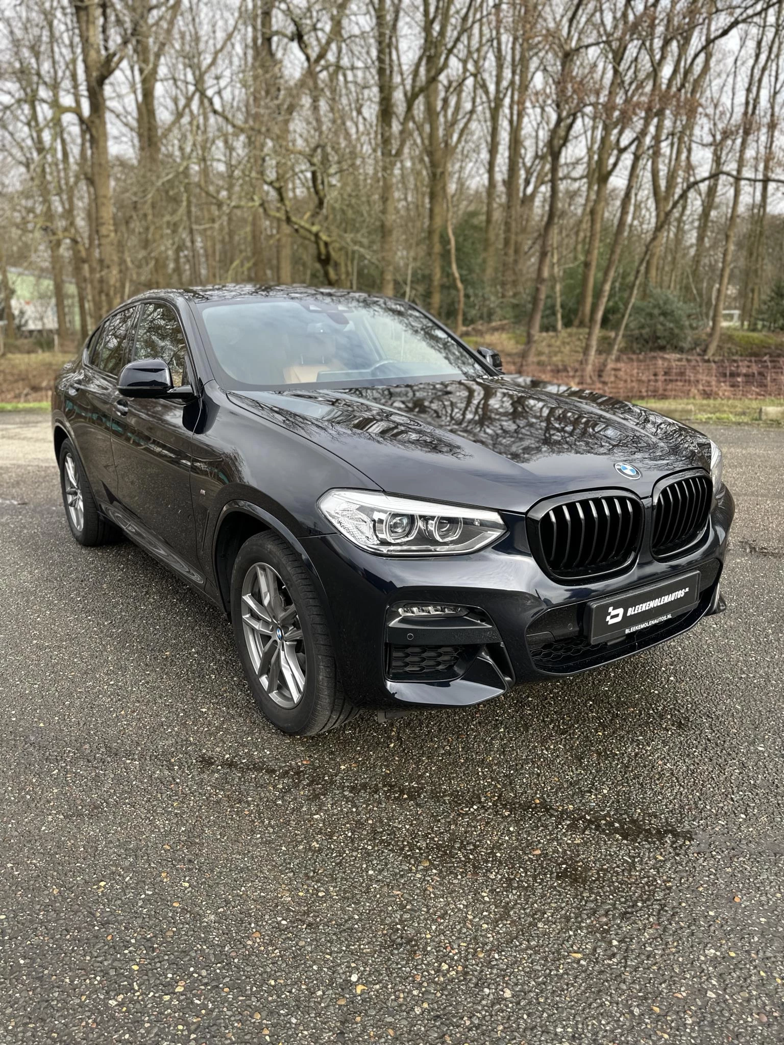 Hoofdafbeelding BMW X4