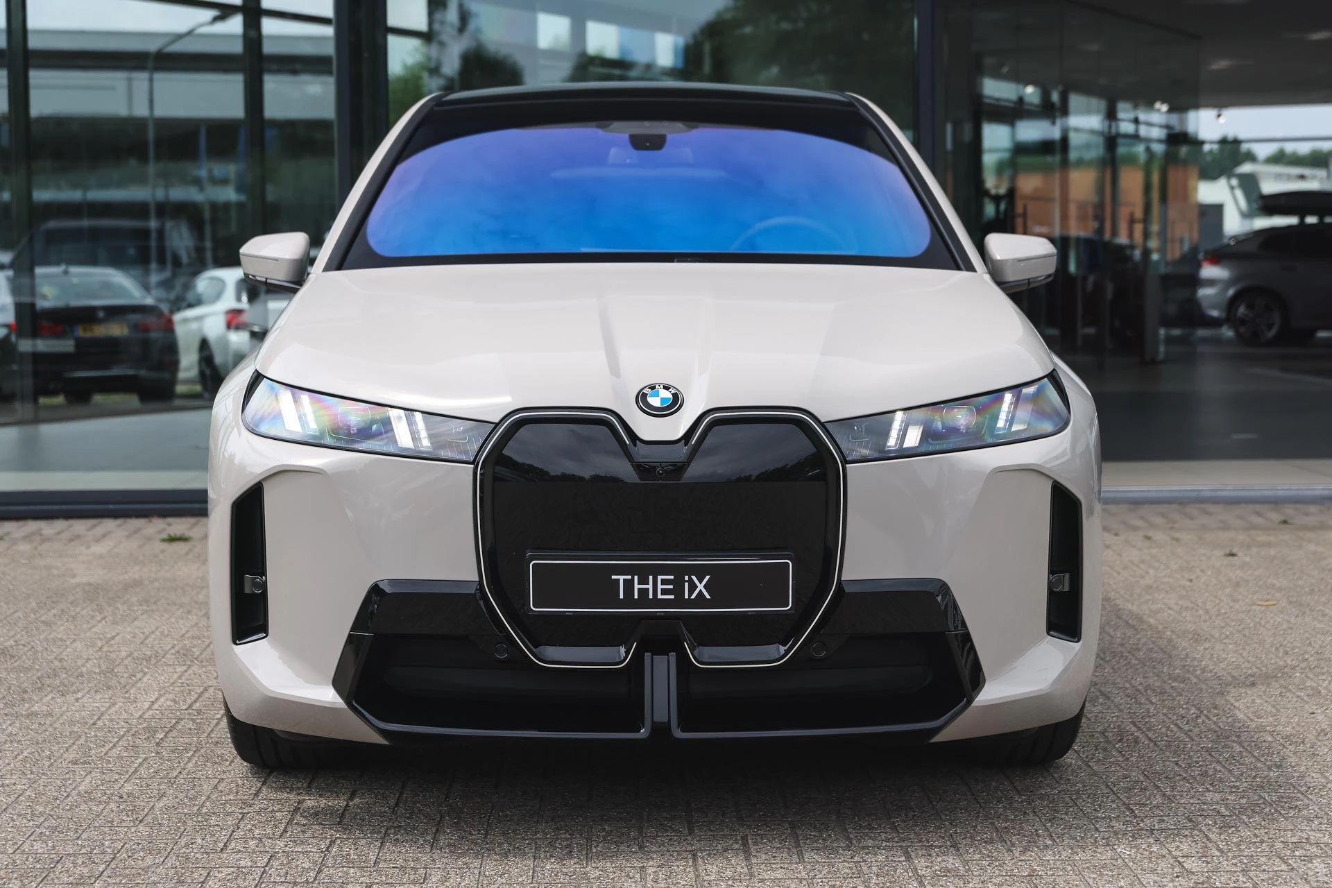 Hoofdafbeelding BMW iX