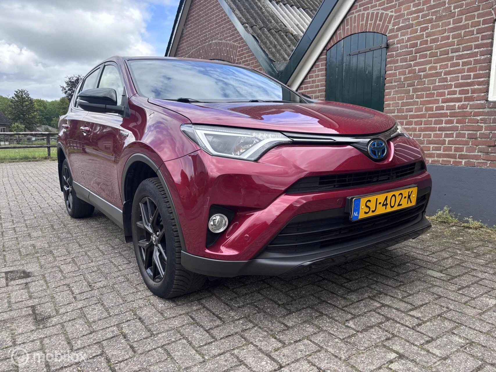 Hoofdafbeelding Toyota RAV4