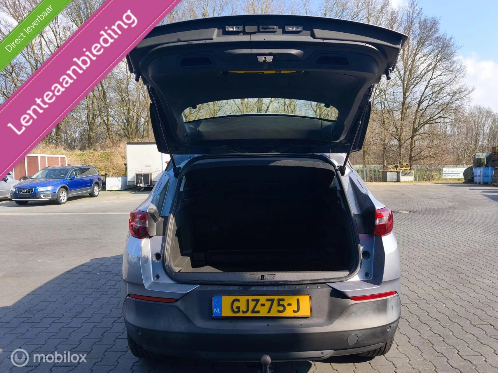 Hoofdafbeelding Opel Grandland X