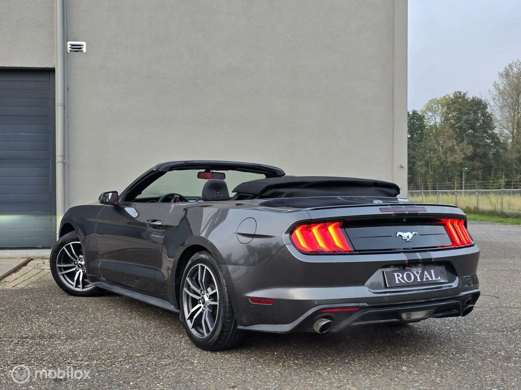 Hoofdafbeelding Ford Mustang