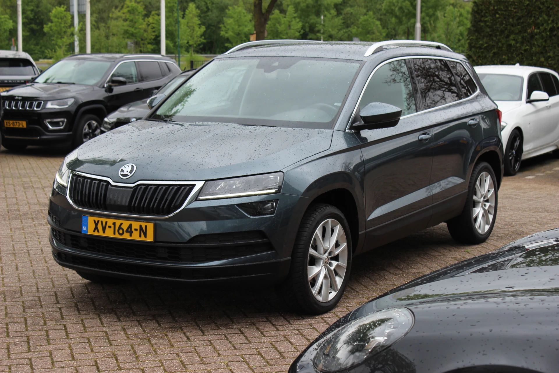 Hoofdafbeelding Škoda Karoq