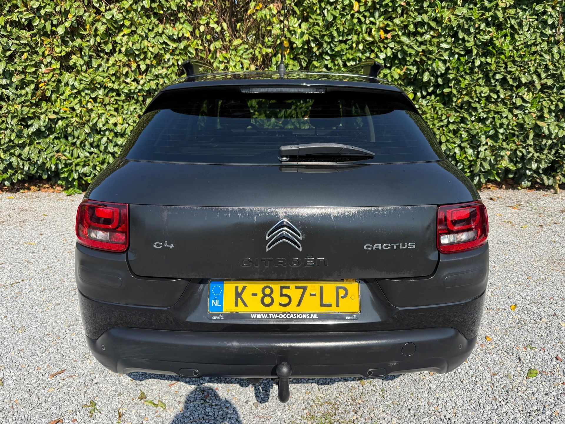 Hoofdafbeelding Citroën C4 Cactus