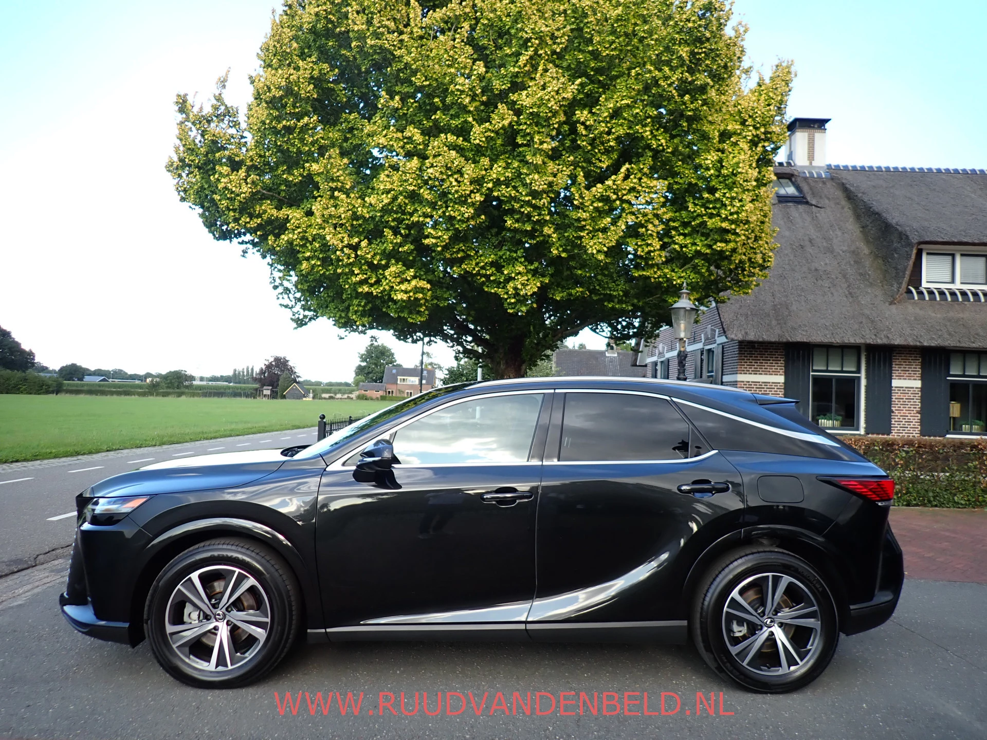 Hoofdafbeelding Lexus RX
