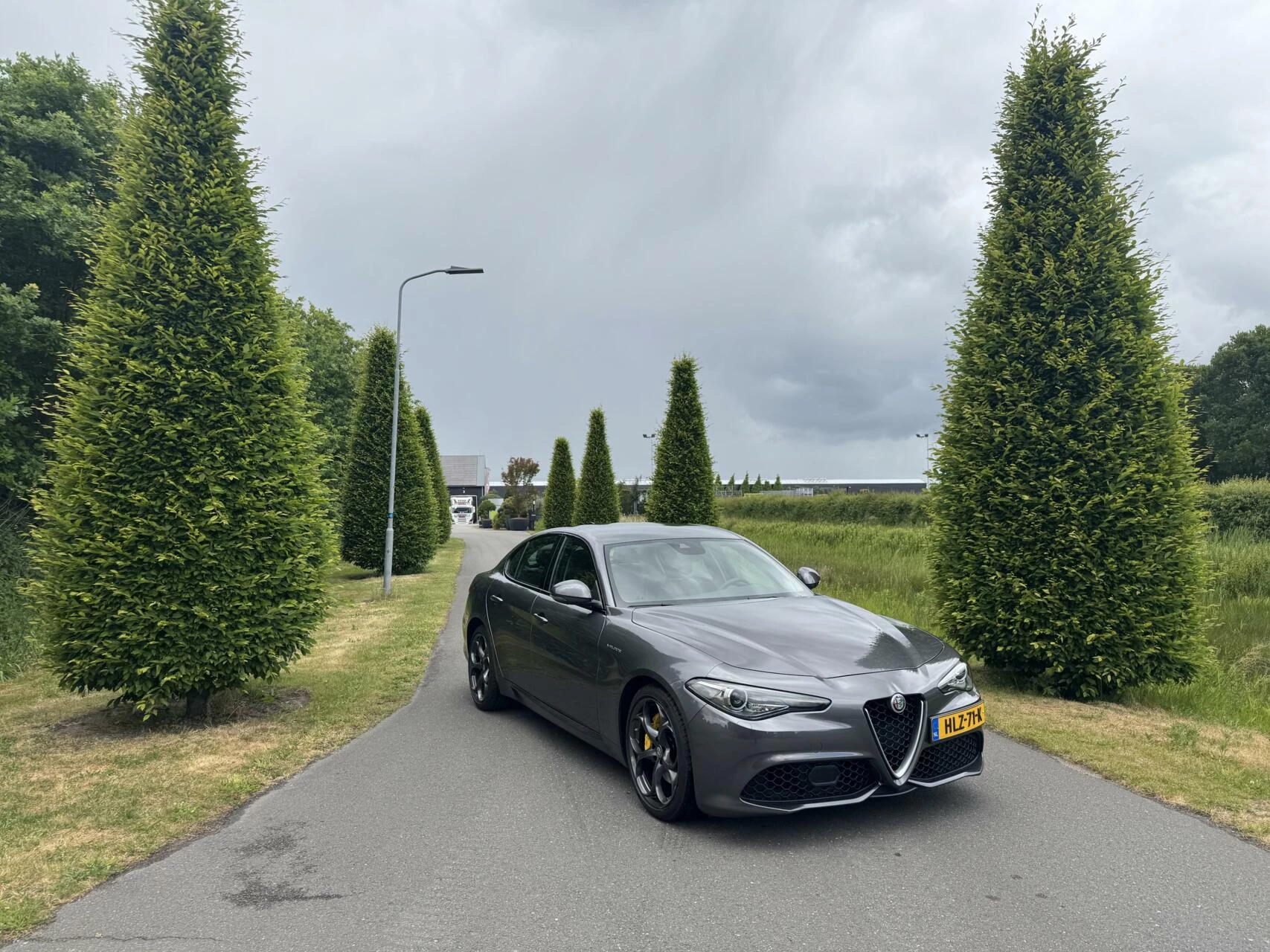 Hoofdafbeelding Alfa Romeo Giulia