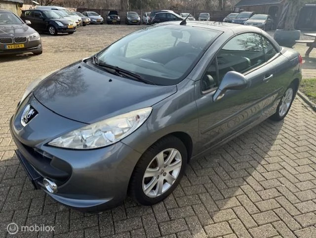 Hoofdafbeelding Peugeot 207