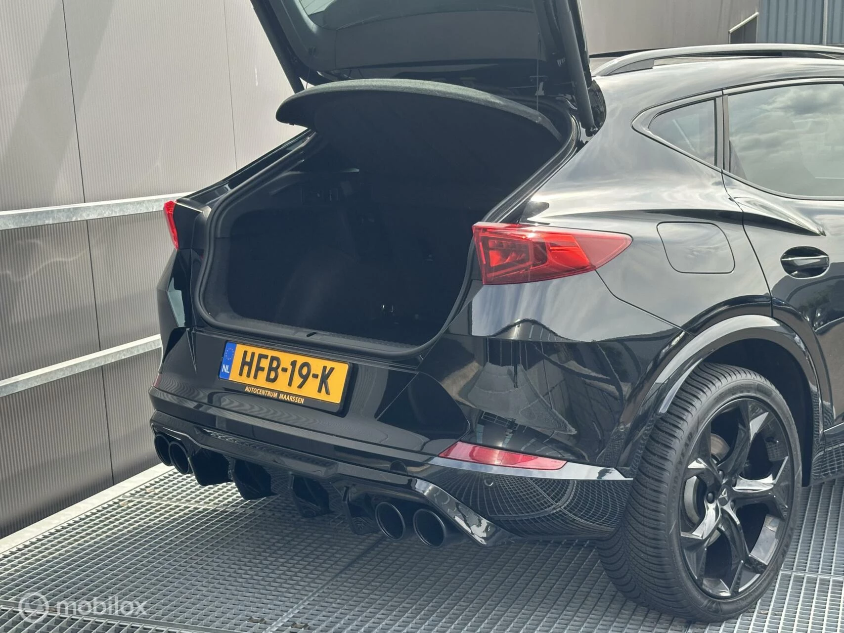 Hoofdafbeelding CUPRA Formentor