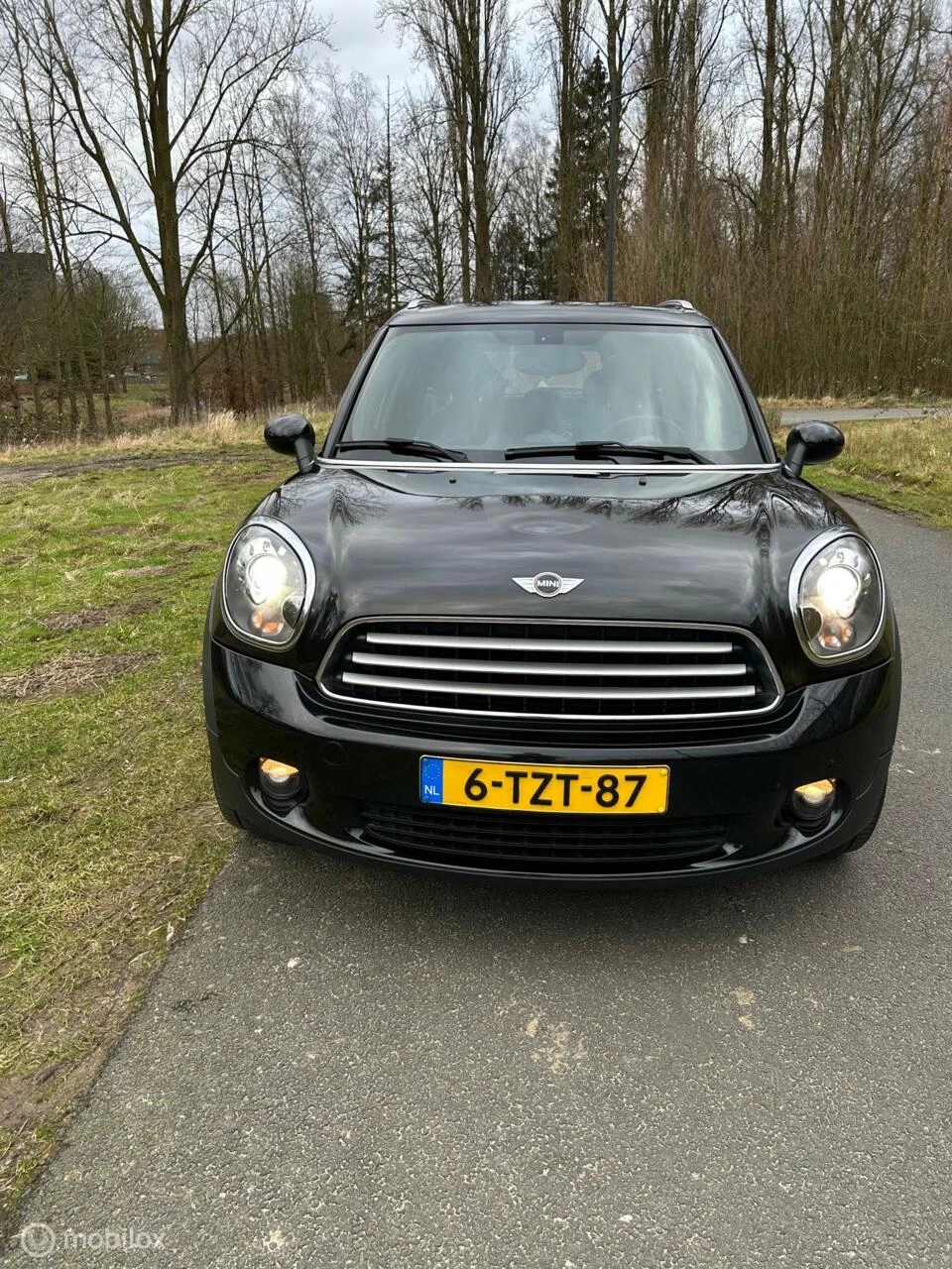 Hoofdafbeelding MINI Countryman