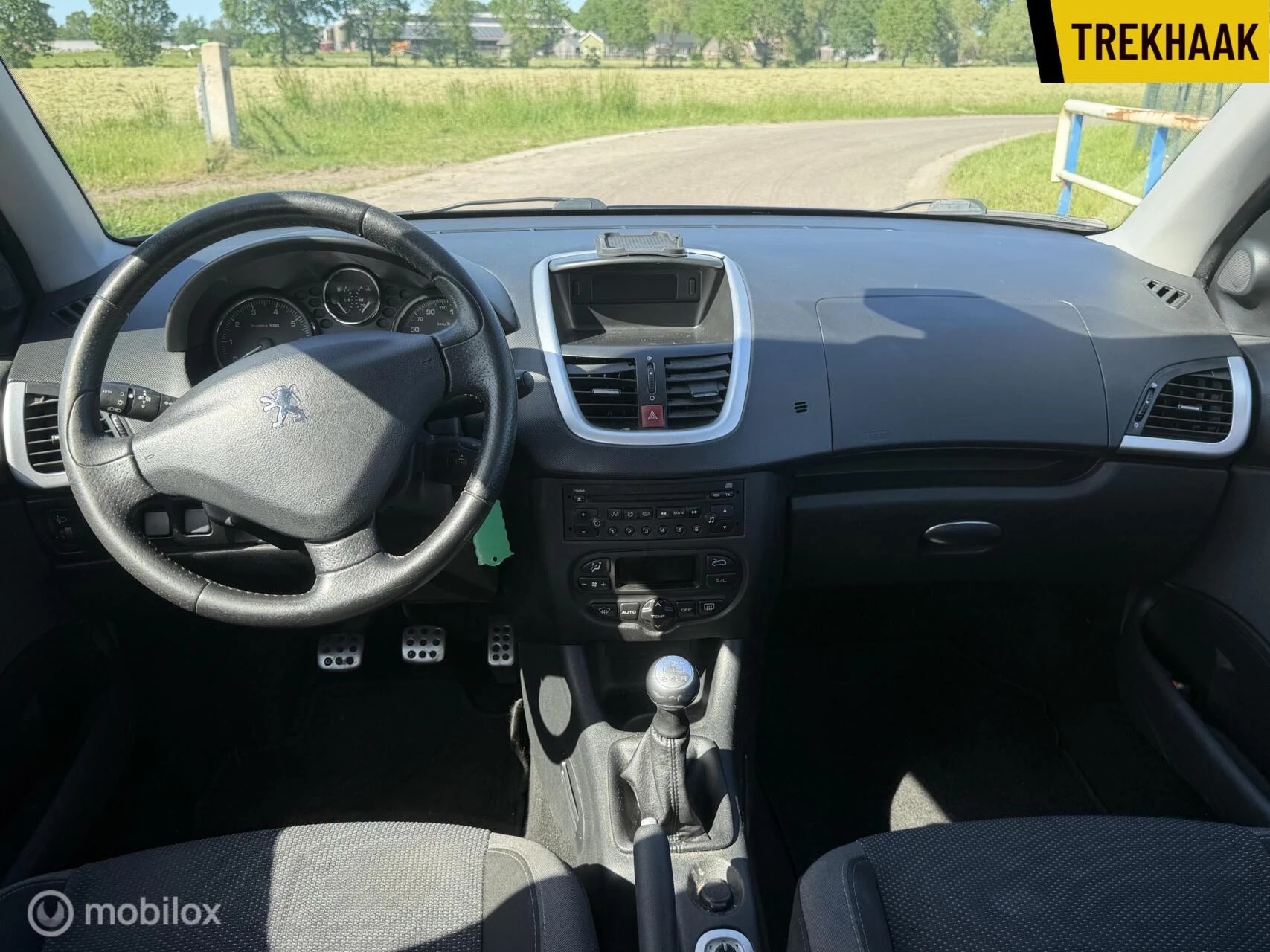 Hoofdafbeelding Peugeot 206