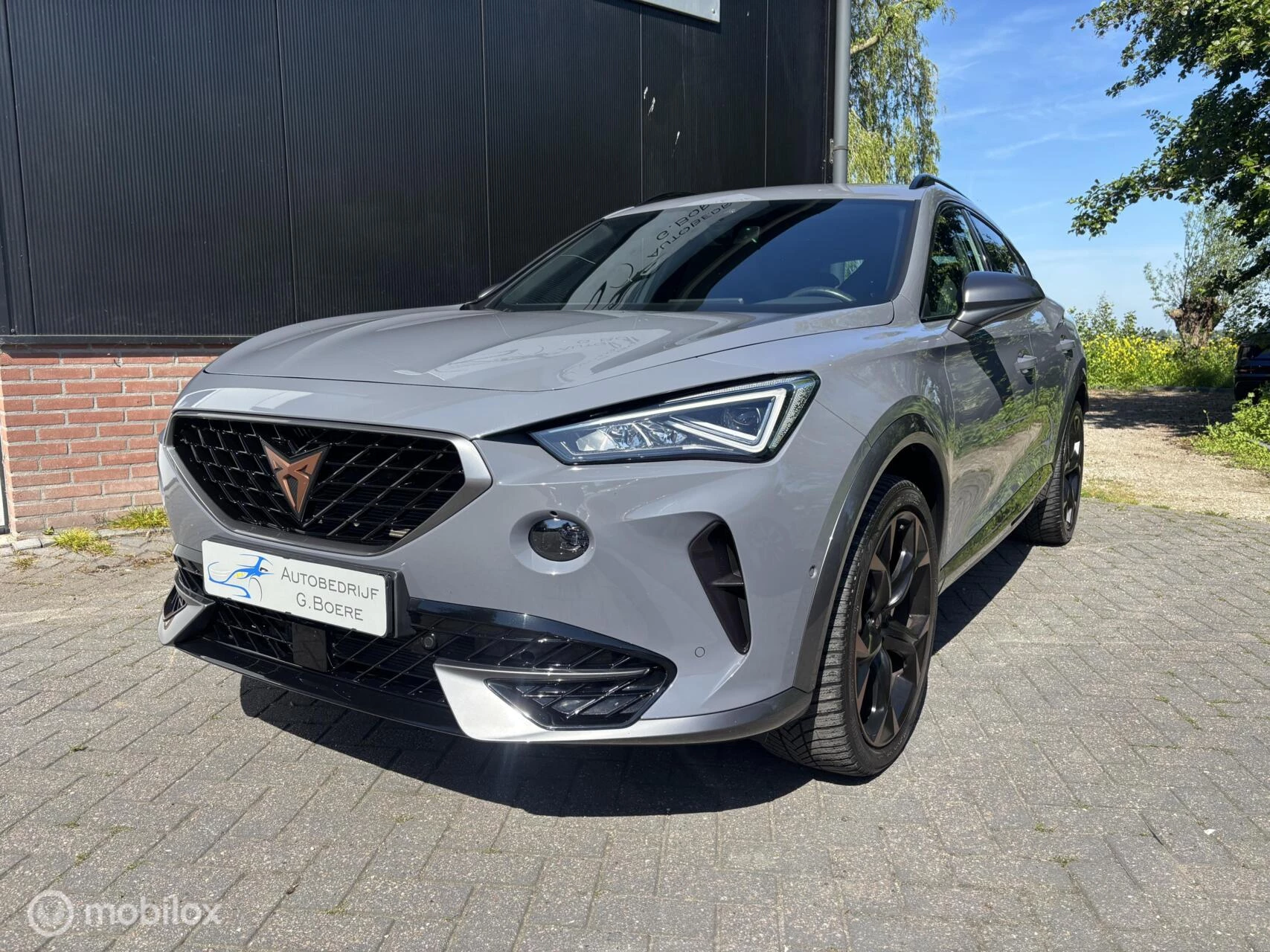 Hoofdafbeelding CUPRA Formentor