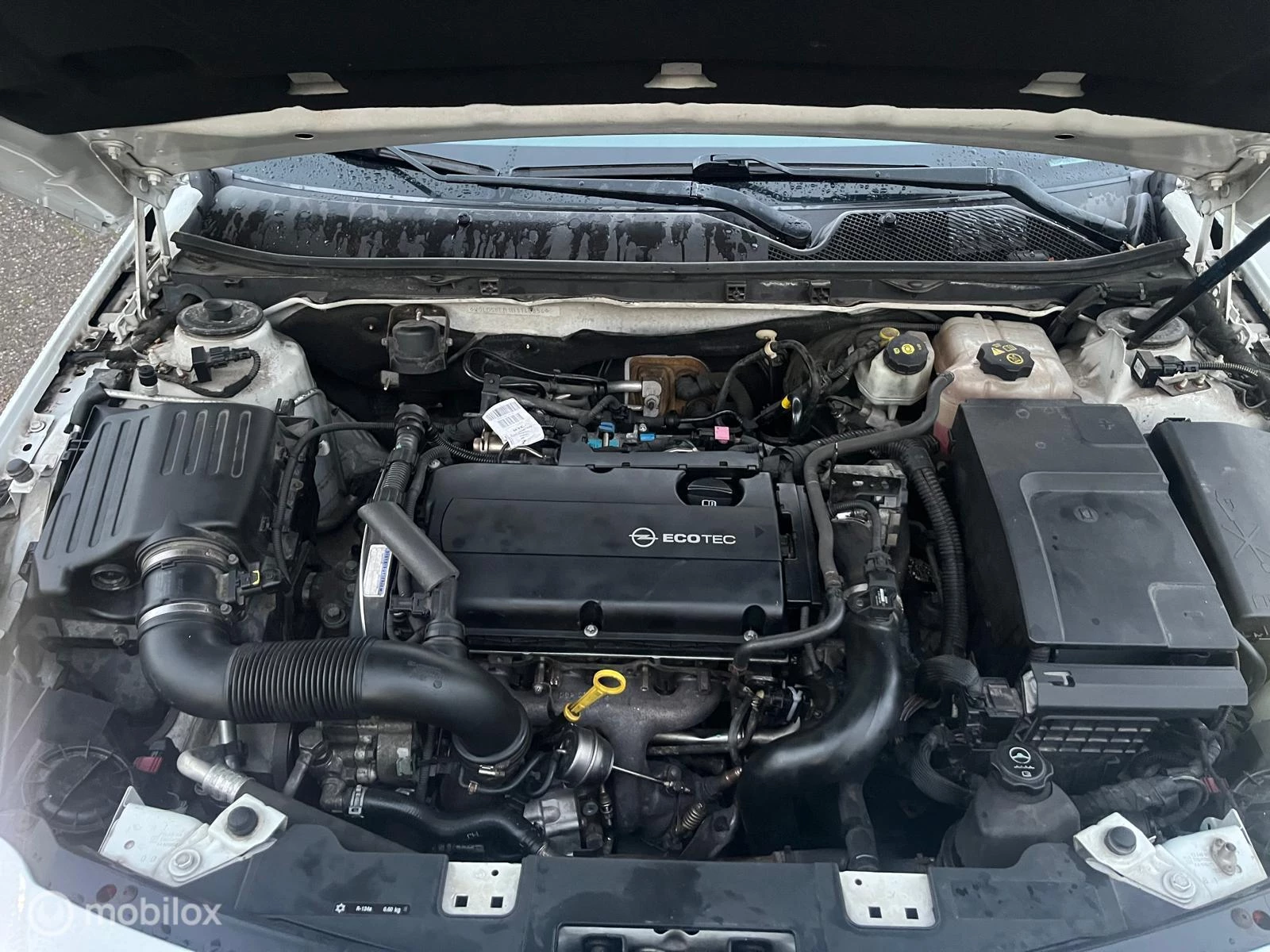 Hoofdafbeelding Opel Insignia