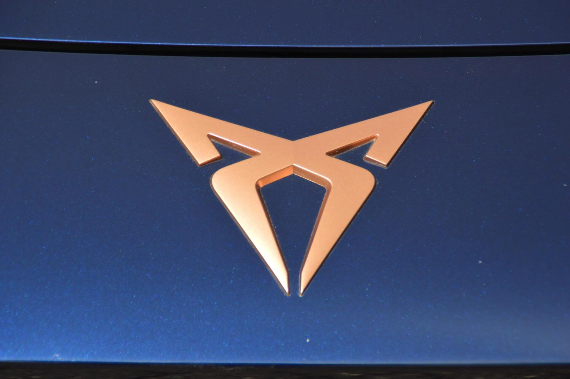 Hoofdafbeelding CUPRA Terramar