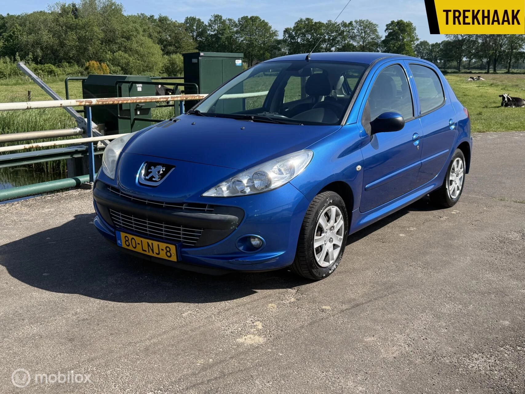 Hoofdafbeelding Peugeot 206