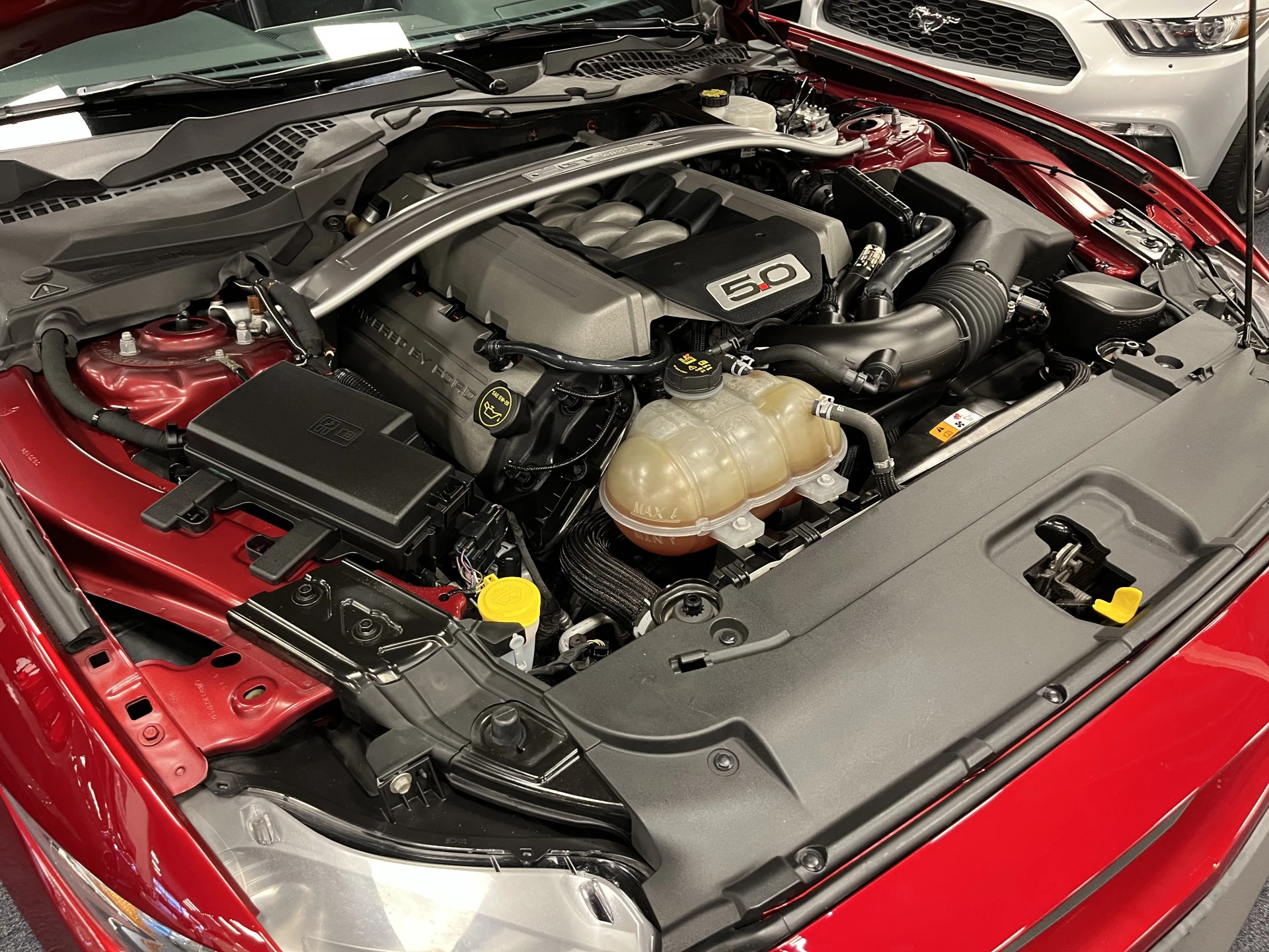 Hoofdafbeelding Ford Mustang