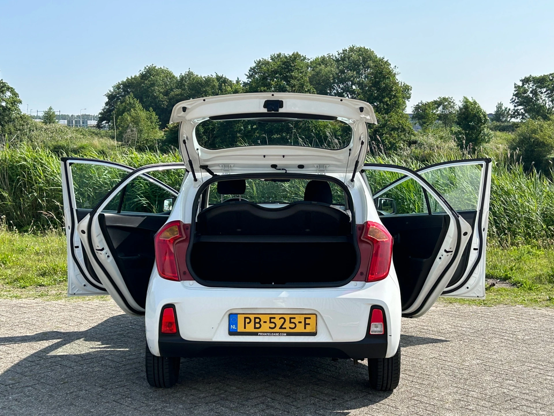 Hoofdafbeelding Kia Picanto
