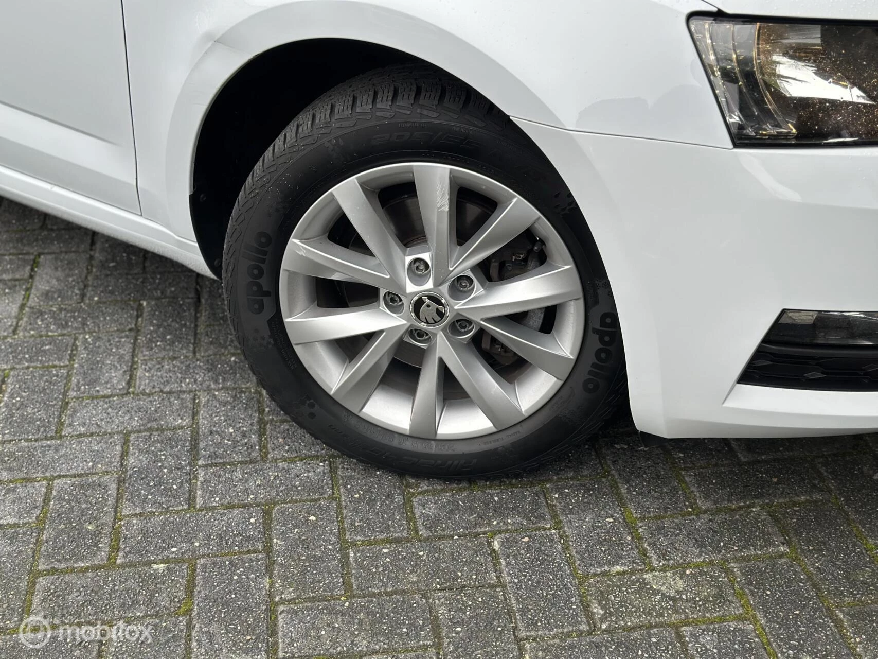 Hoofdafbeelding Škoda Octavia