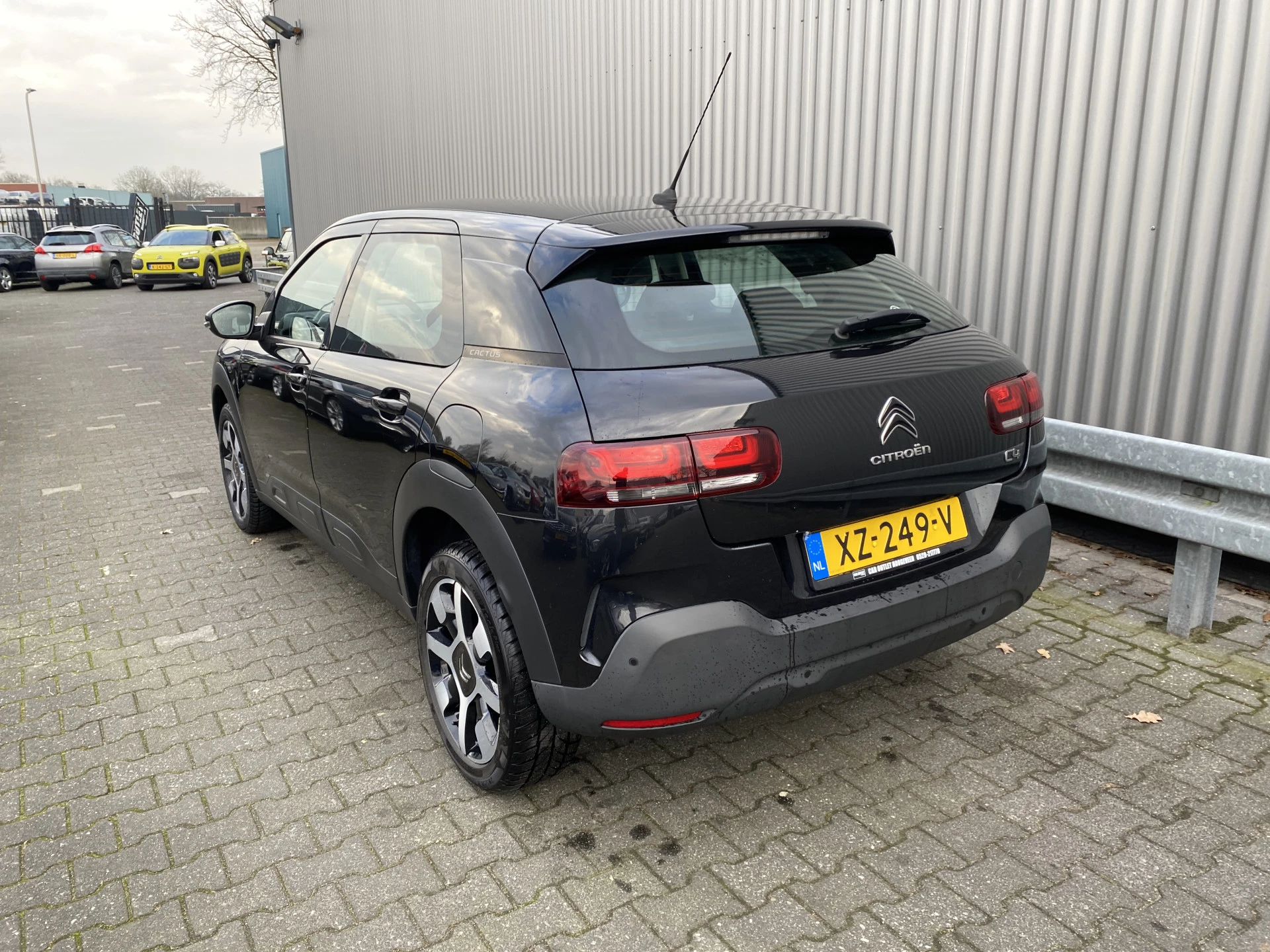 Hoofdafbeelding Citroën C4 Cactus