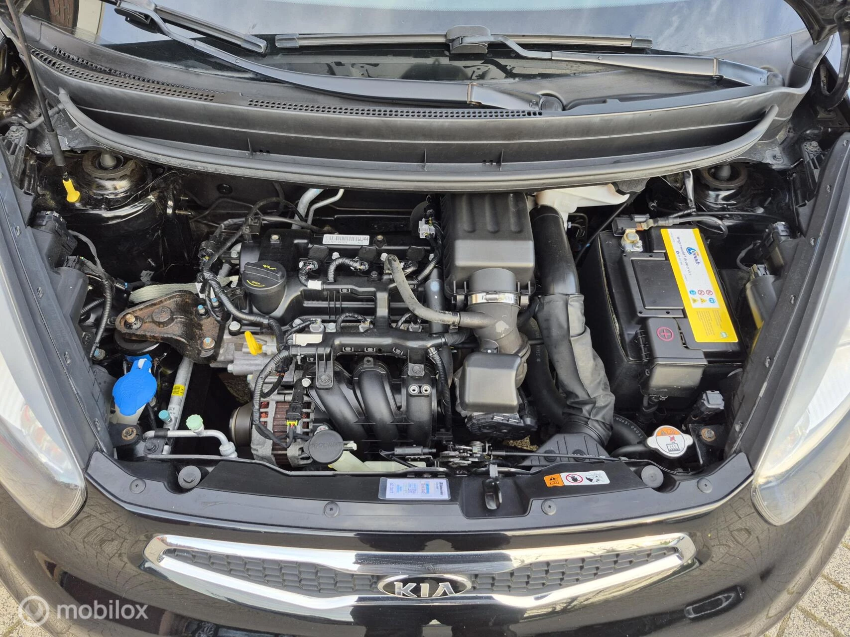 Hoofdafbeelding Kia Picanto